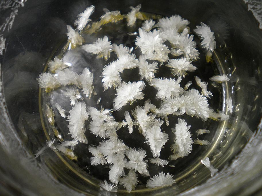 Magyar kutatók: a pszichoaktív DMT csökkenti az agyi infarktus káros következményeit