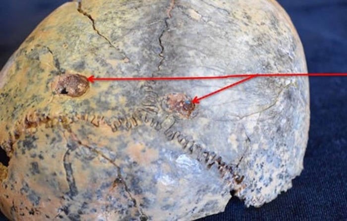 Inkább zsákmány, mint vadász volt a Homo habilis