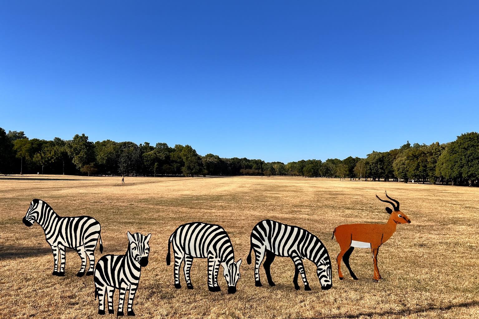 Kiszárad a Hajógyári-sziget, de a főváros már tervezi az öntözését