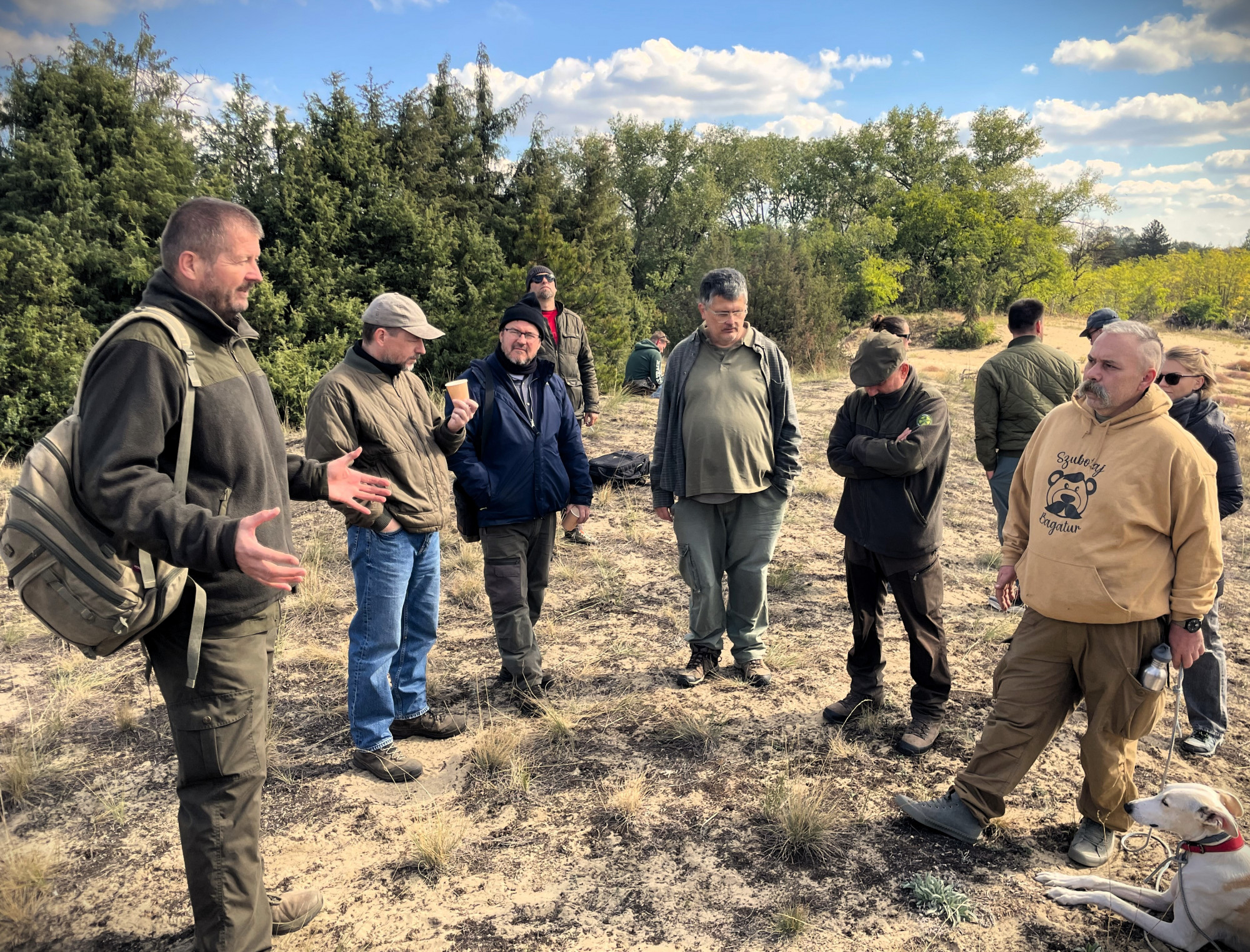 Mit keres egy fenyőerdő a kiszáradófélben lévő  Homokhátságon?