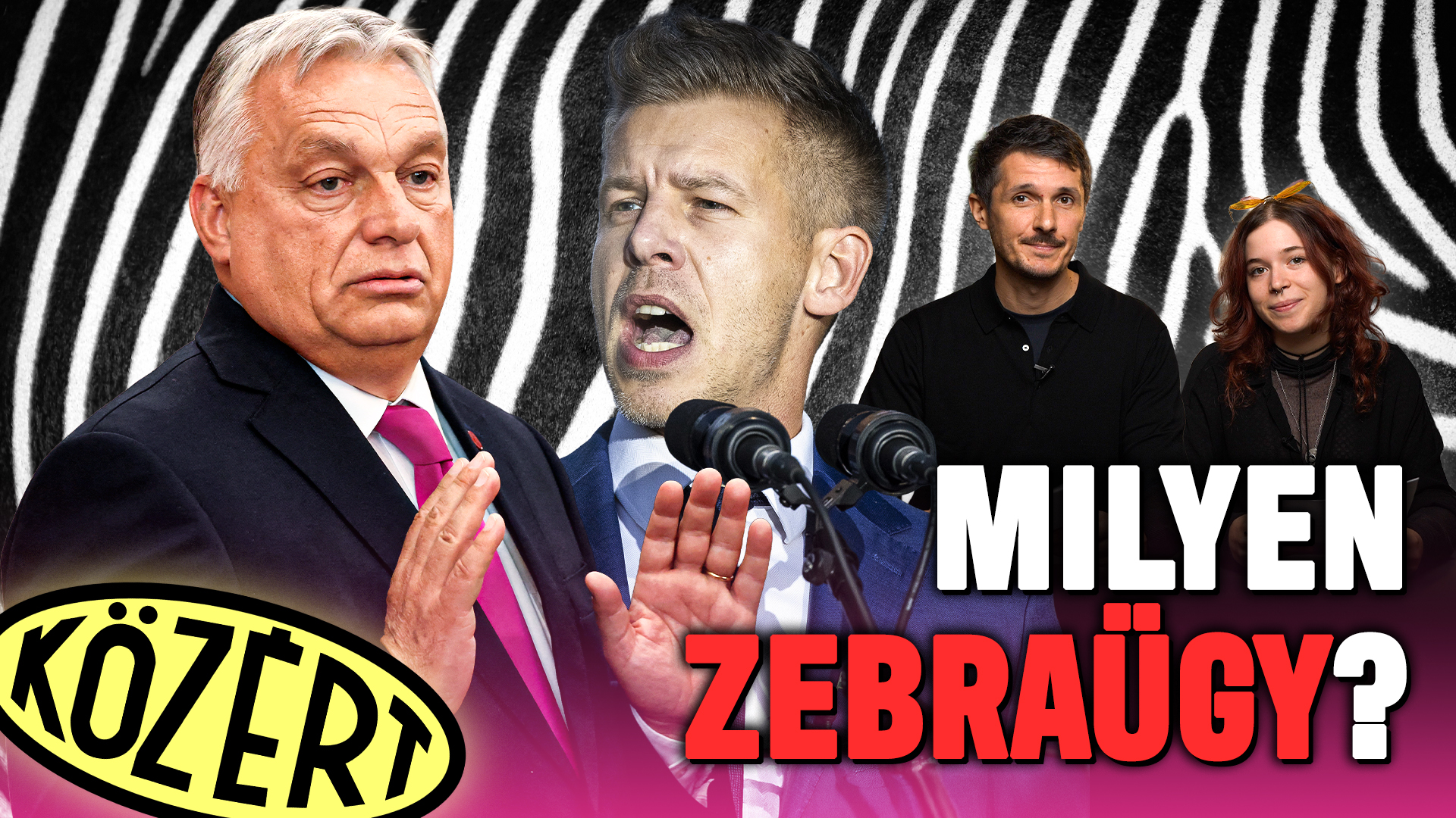 A zebrák feketén-fehéren megmutatják, miben különbözik a Tisza és a Fidesz stratégiája