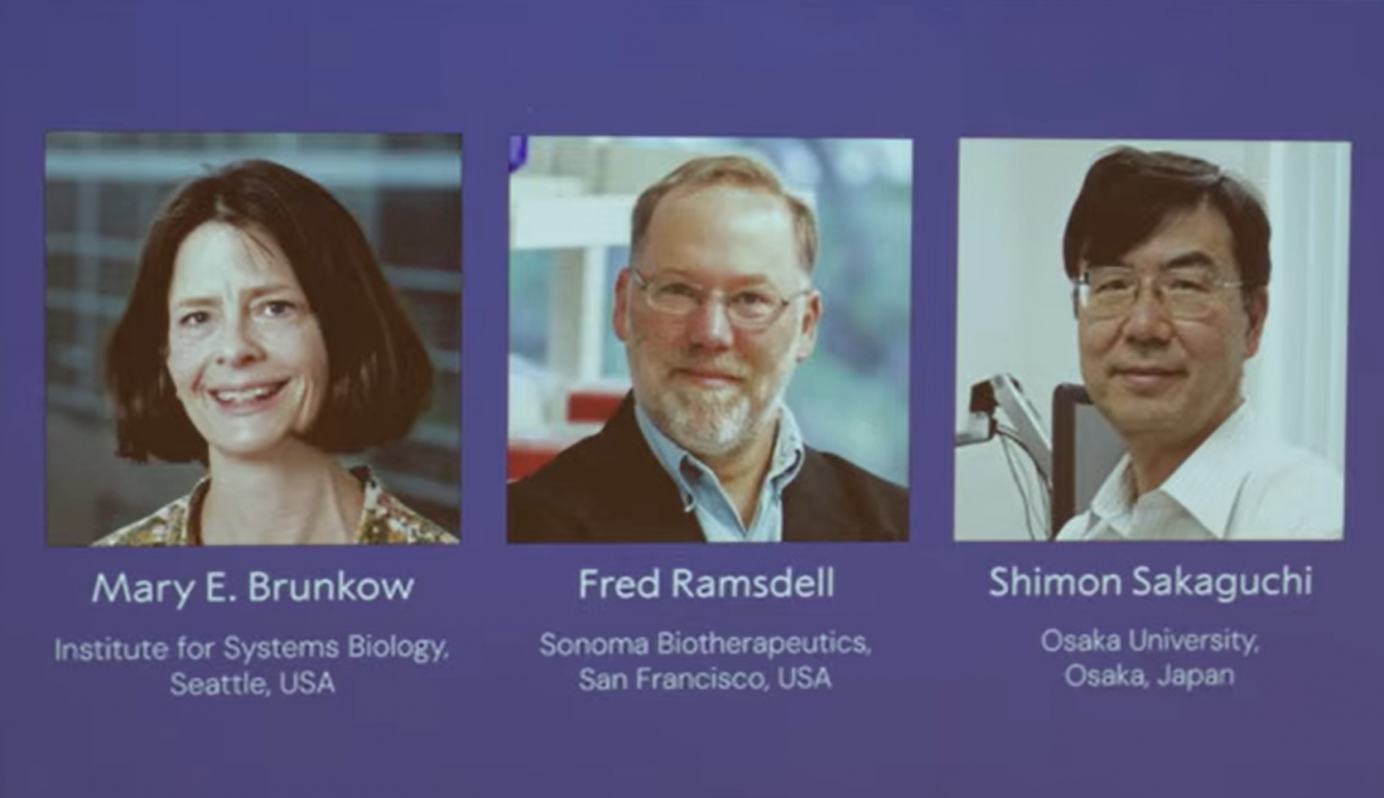 Az immunrendszer működését feltáró kutatók kapják az idei orvosi Nobel-díjat