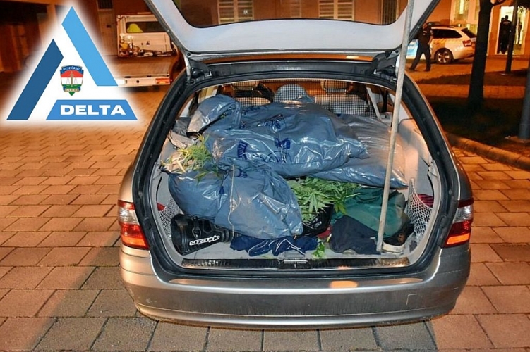 Tankolás miatt bukott le 14 kiló fűvel a beszívott osztrák