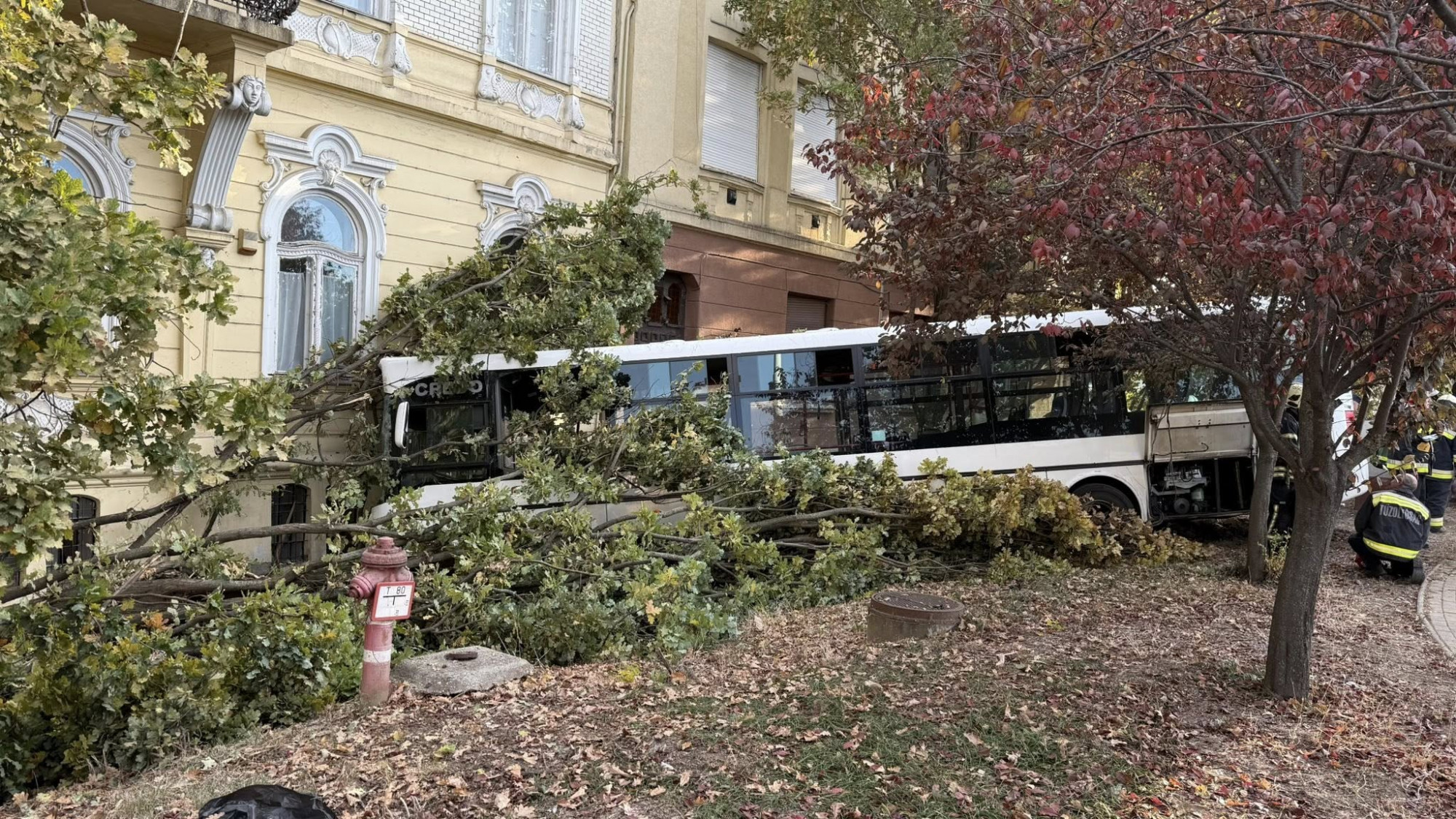Többen megsérültek, miután egy busz csapódott a szolnoki Varga Katalin Gimnázium épületébe
