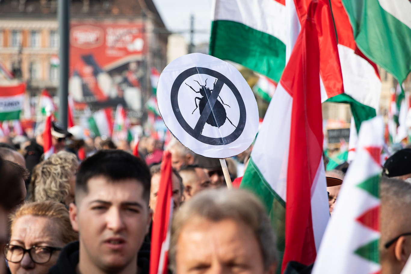 Annál tökéletesebbet ma nem fogsz látni, mint ahogy a Magyar Nemzet bocsánatot...