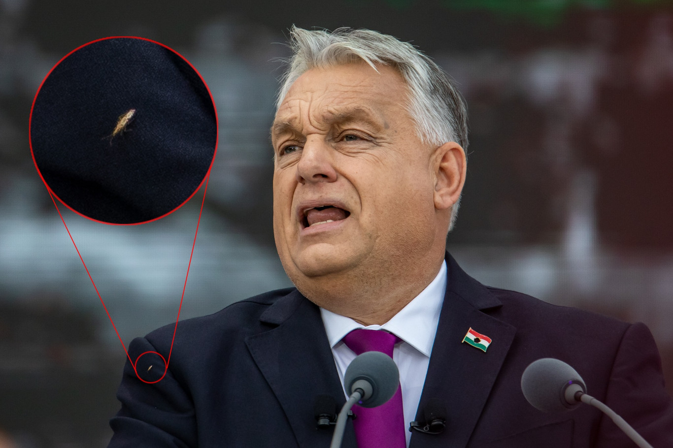 Addig járt a korsó a kútra: a beszéde alatt egy poloska hosszan mászkált Orbánon