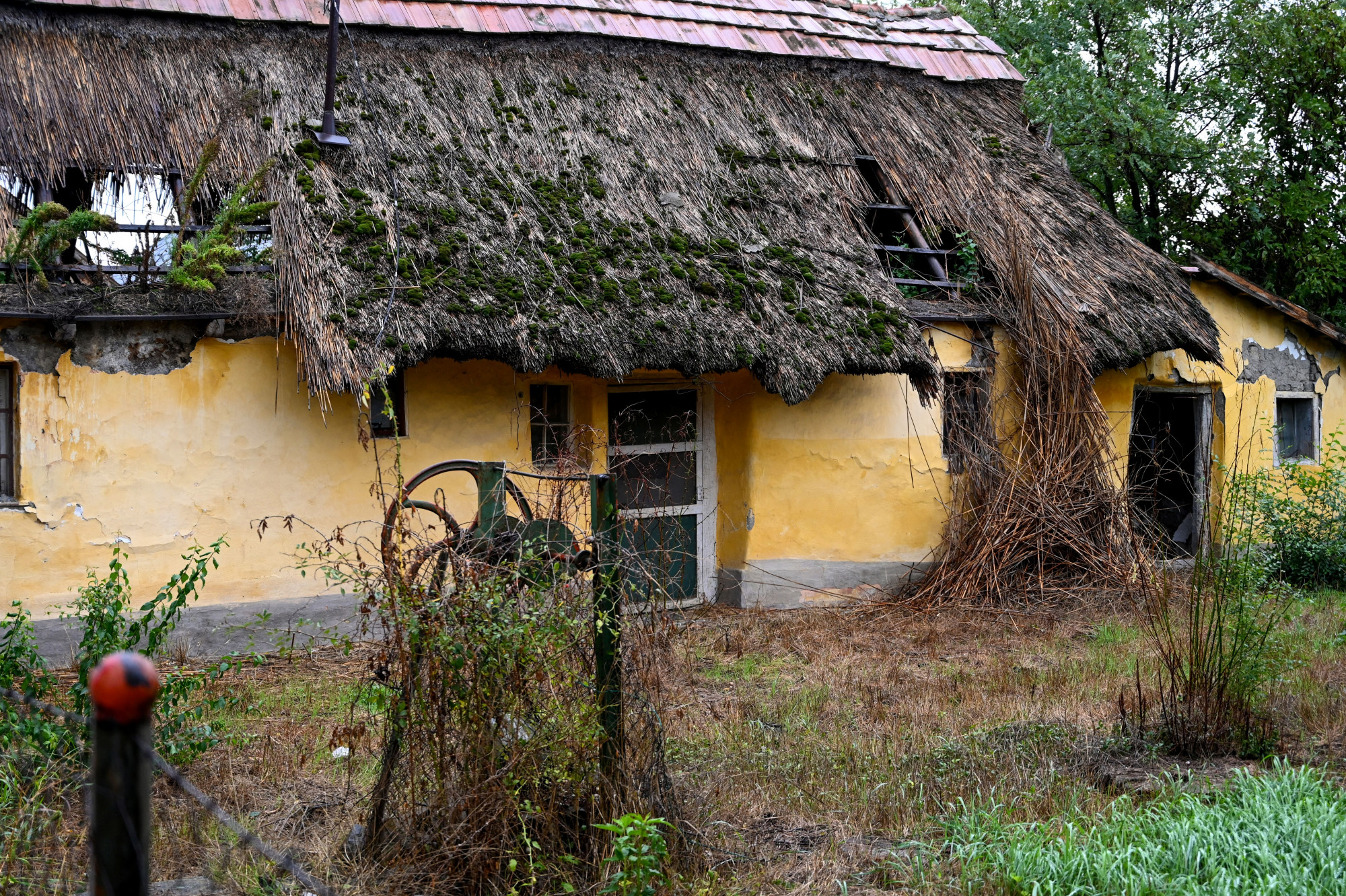 A romák kirekesztését normalizáló „önazonossági törvény” Európa alapértékeinek próbatétele