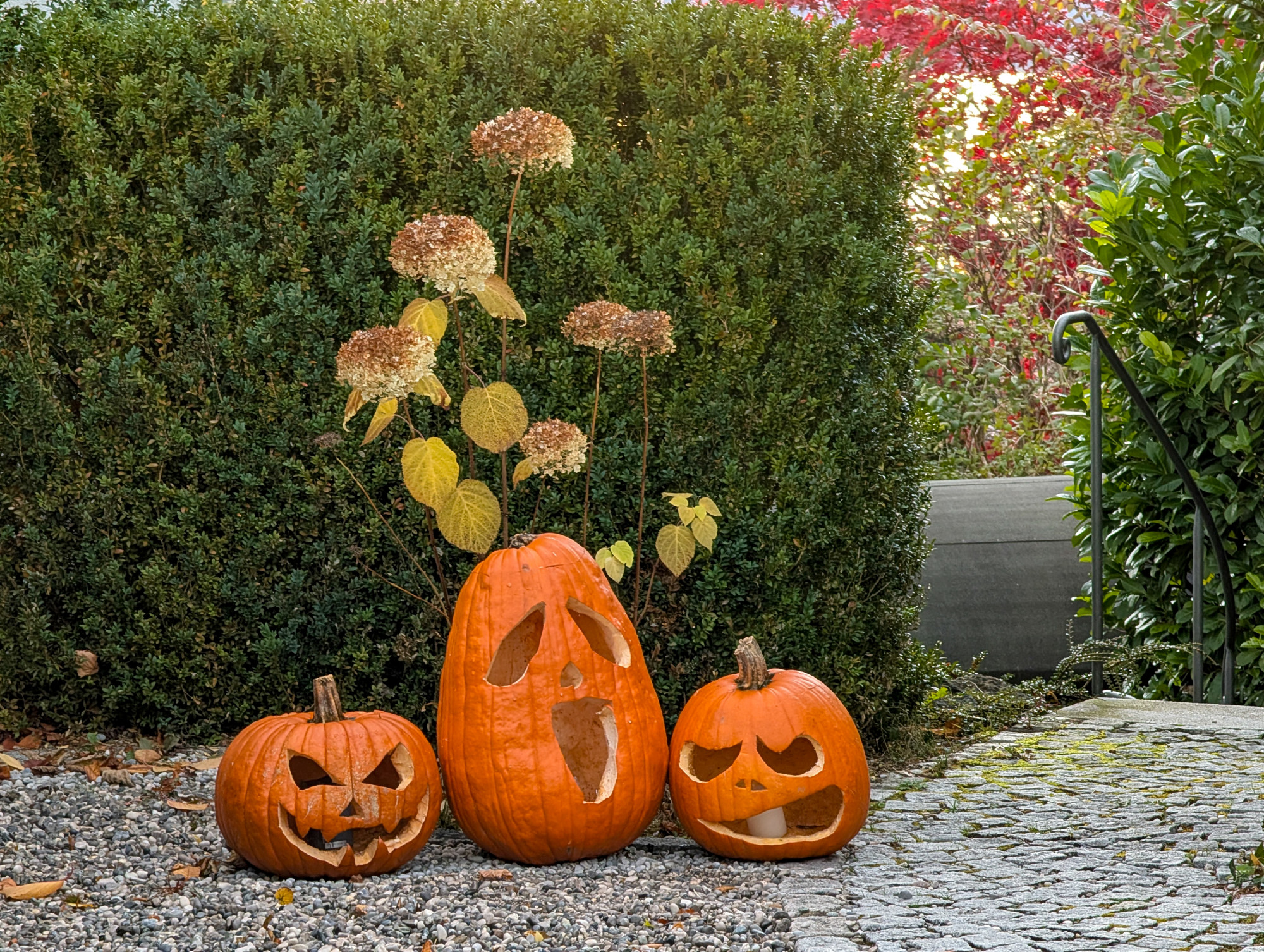Zebegényben a polgármester betiltotta a családi tökfaragást, mert a „haláltökök” veszélyesek a gyerekek lelki fejlődésére