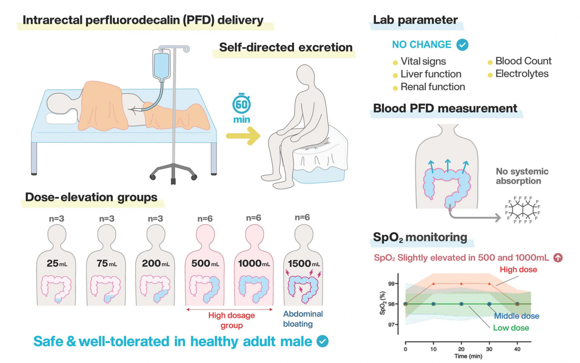 Egy lépéssel közelebb kerültünk ahhoz, hogy az ember a végbelén keresztül lélegezzen