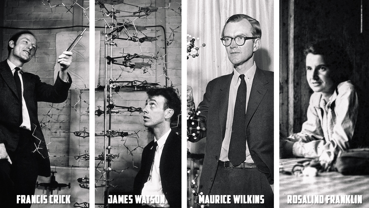 Tényleg egy nőtől vették el a 20. század egyik legnagyobb  felfedezését, amiért három férfi kapott Nobel-díjat?