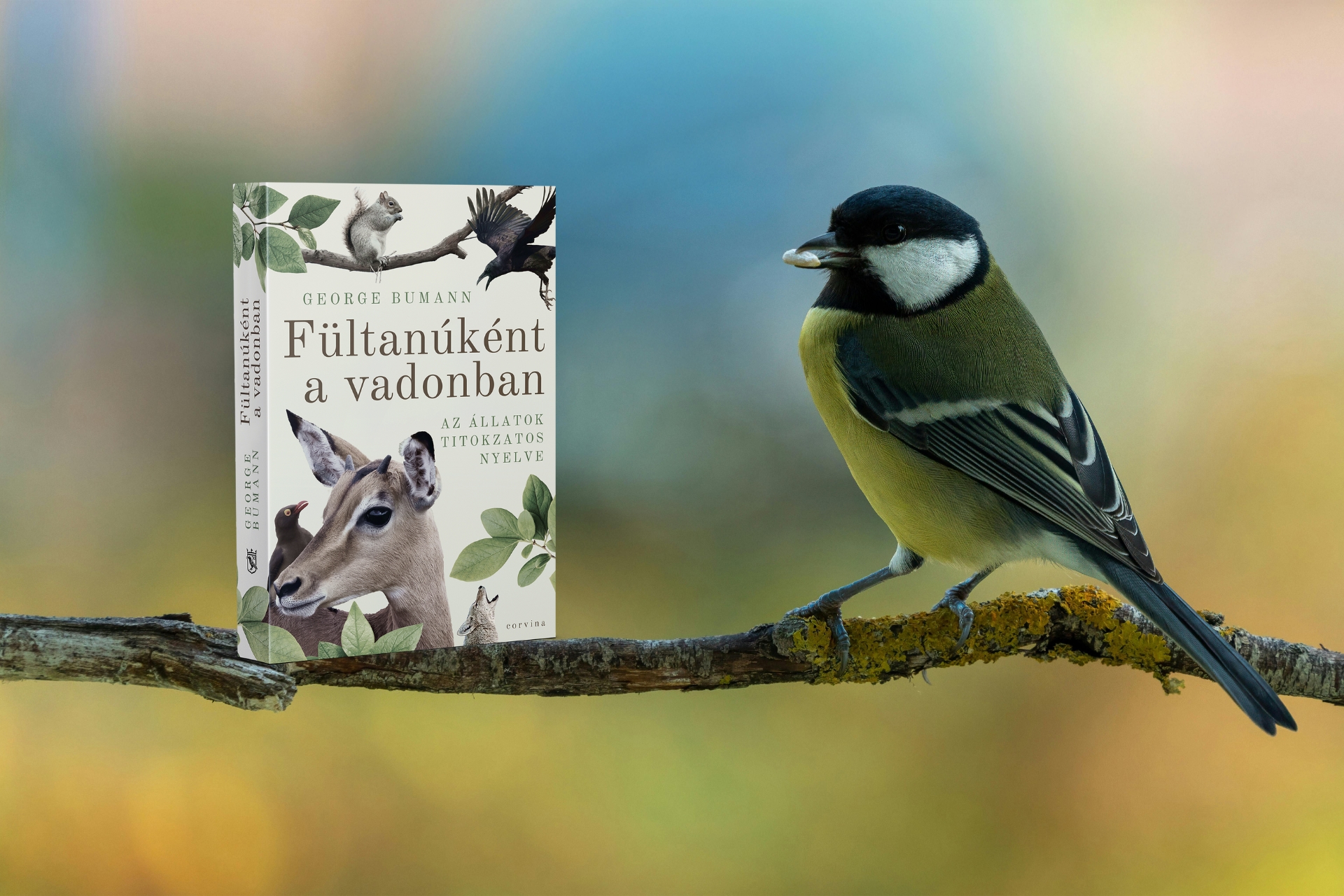 Mit mondanak a cinegék?