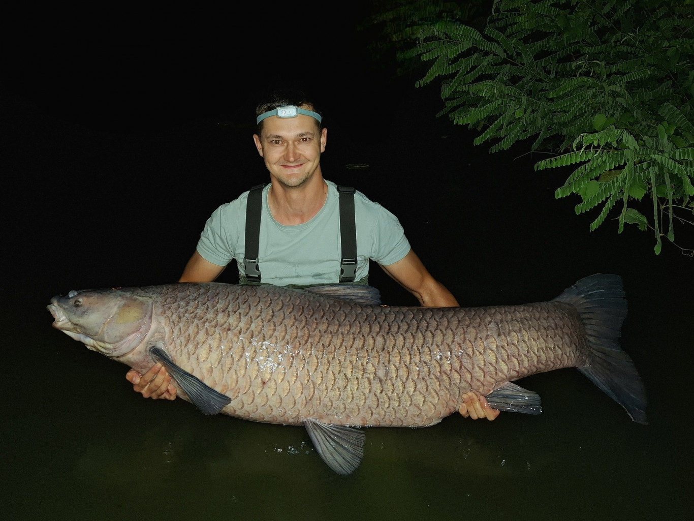 Ember méretű fekete amurt fogtak a Kákafoki-holtágban