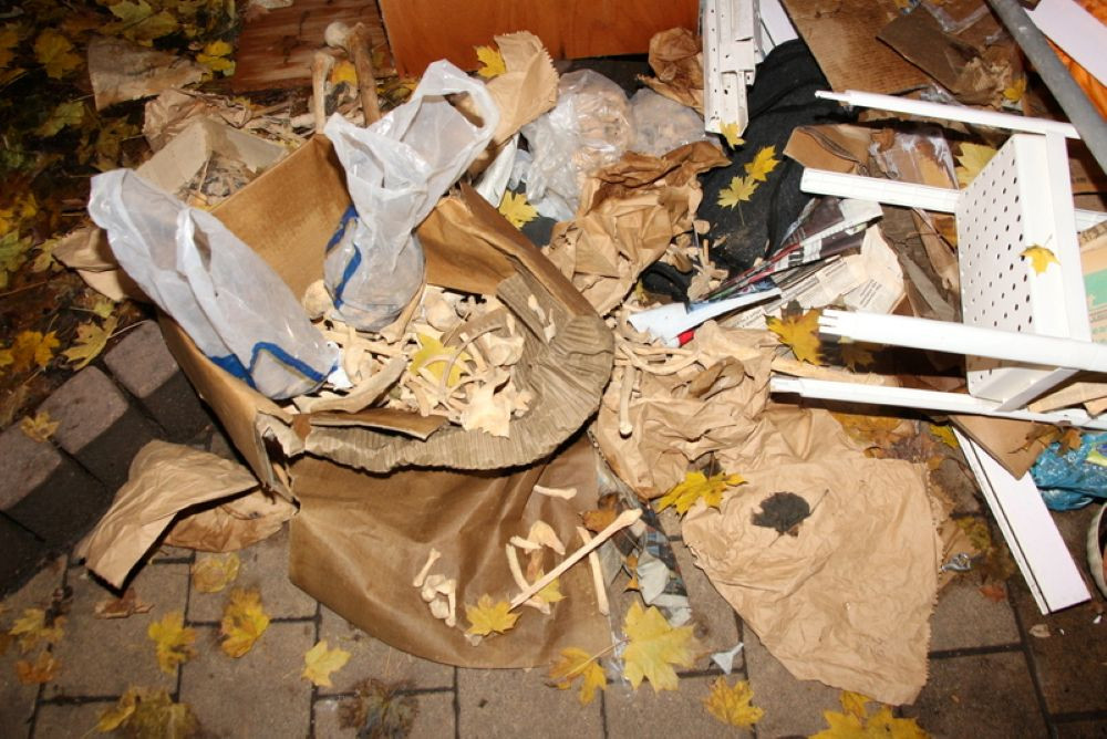 Több doboznyi emberi csontba botlott egy kutyasétáltató a Ferencvárosban