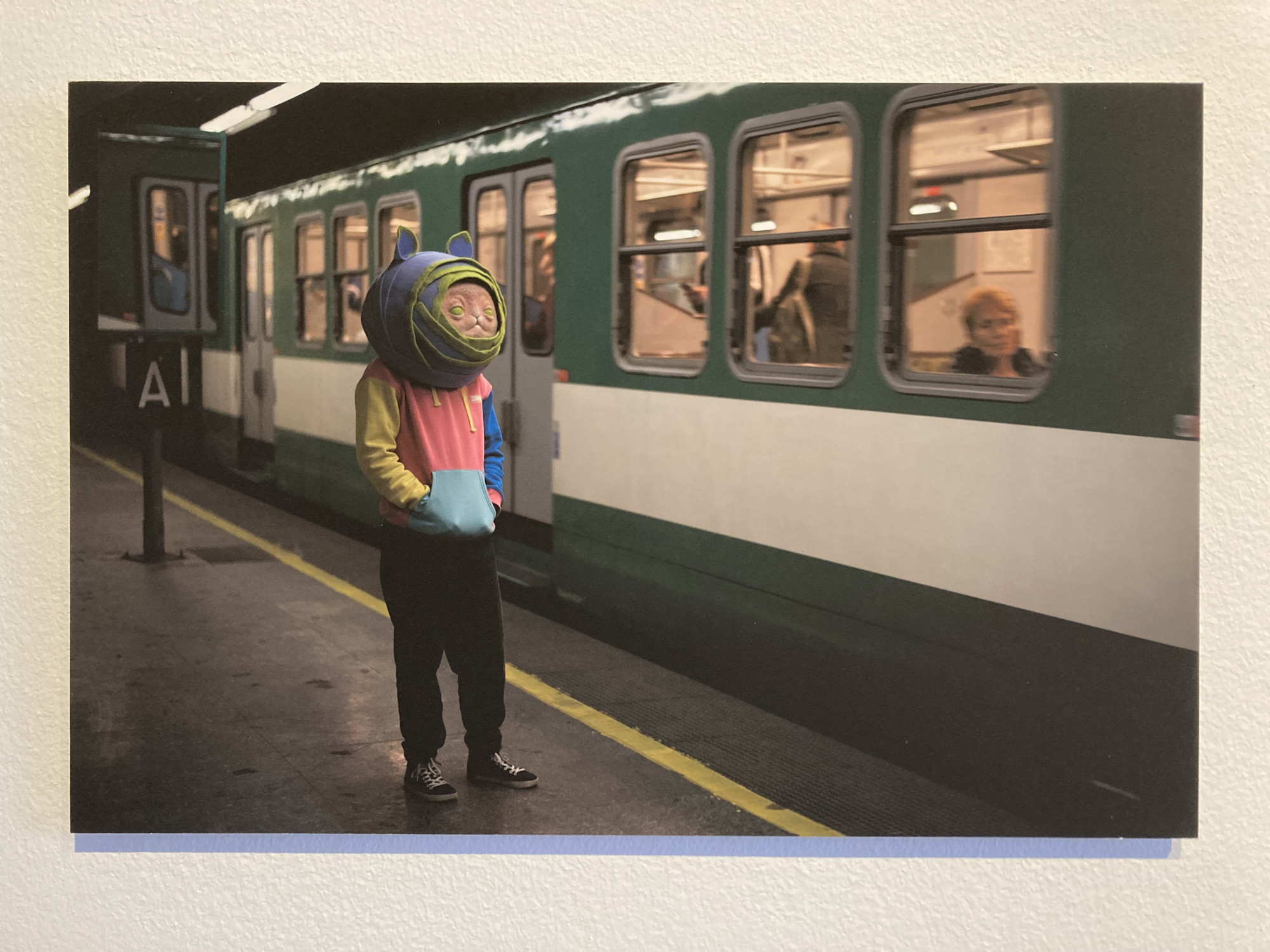 Minden agy szép – kiállítás nyílt a neurodiverzitásról az érintettek munkáival, csakhogy mindenki érintett