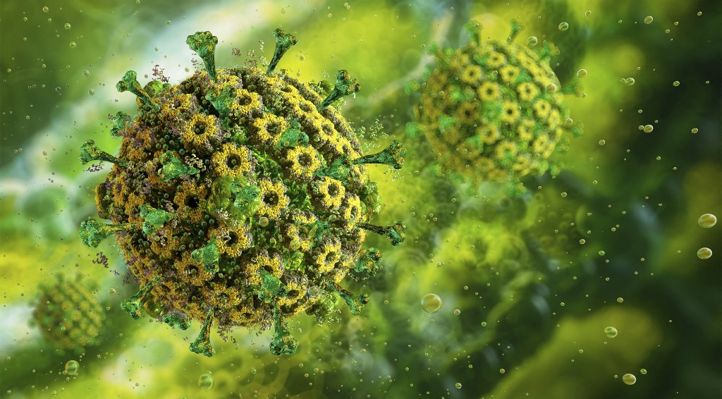 Mesterséges intelligenciával azonosították a herpeszvírusok gyenge pontját