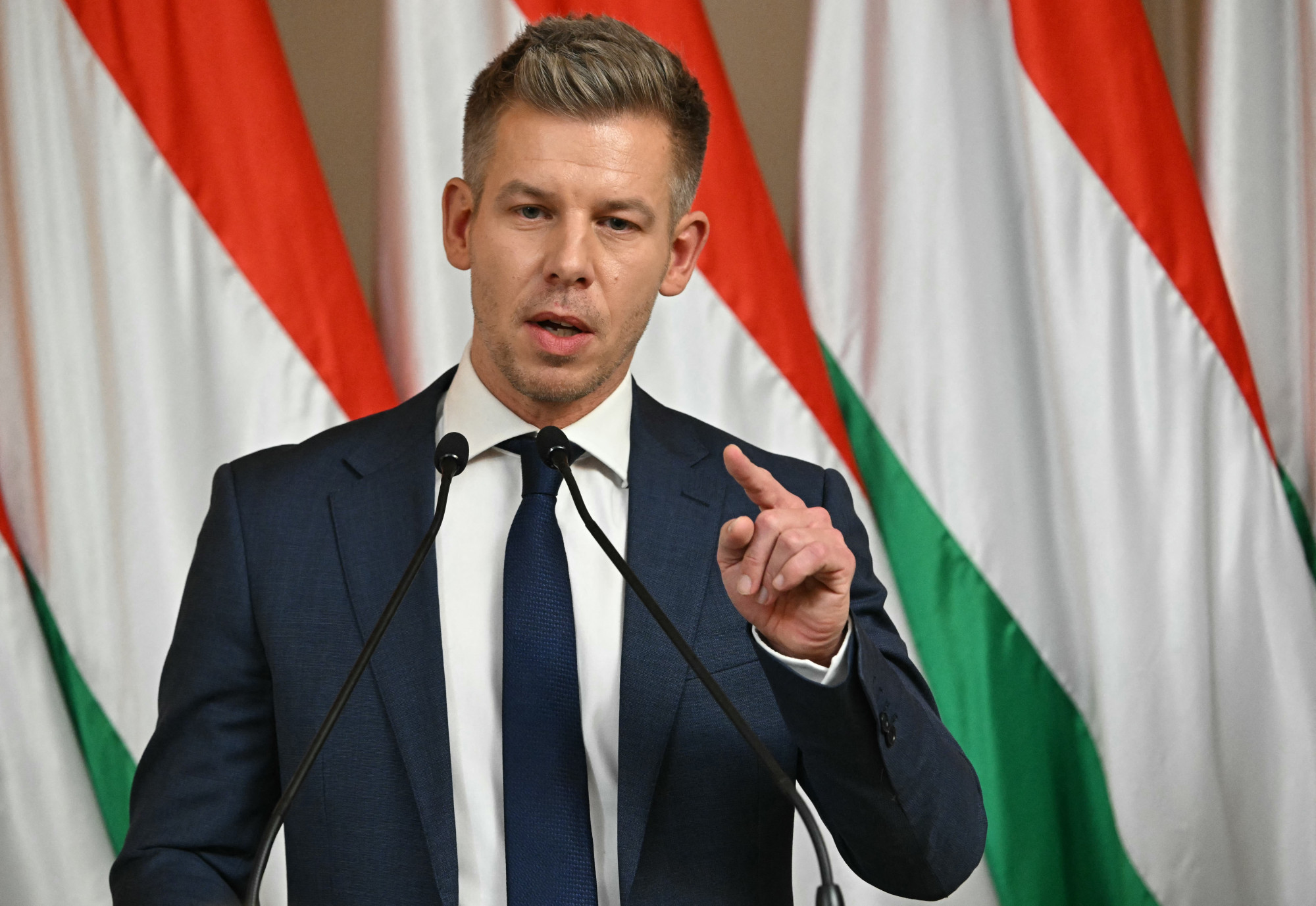 Rendkívül súlyos jogsértésnek ítélte a bíróság, hogy a Magyar Nemzet poloskaként ábrázolta Magyar Pétert, és a kiirtására buzdított