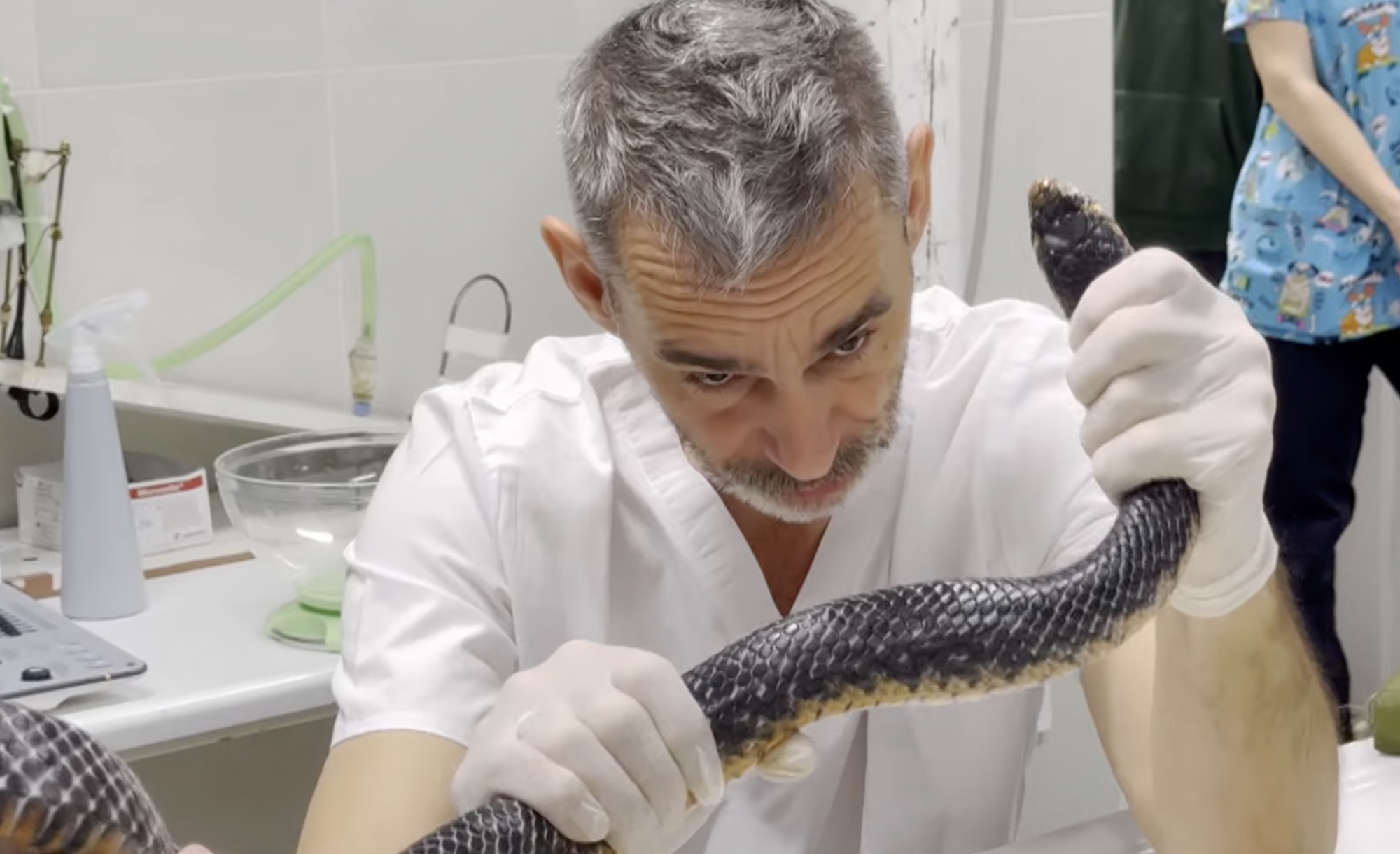 Aki végig akarja nézni, ahogy egy póni vastagbelét pakolják jobbra-balra, az azonnal kapcsolja be a tévét!