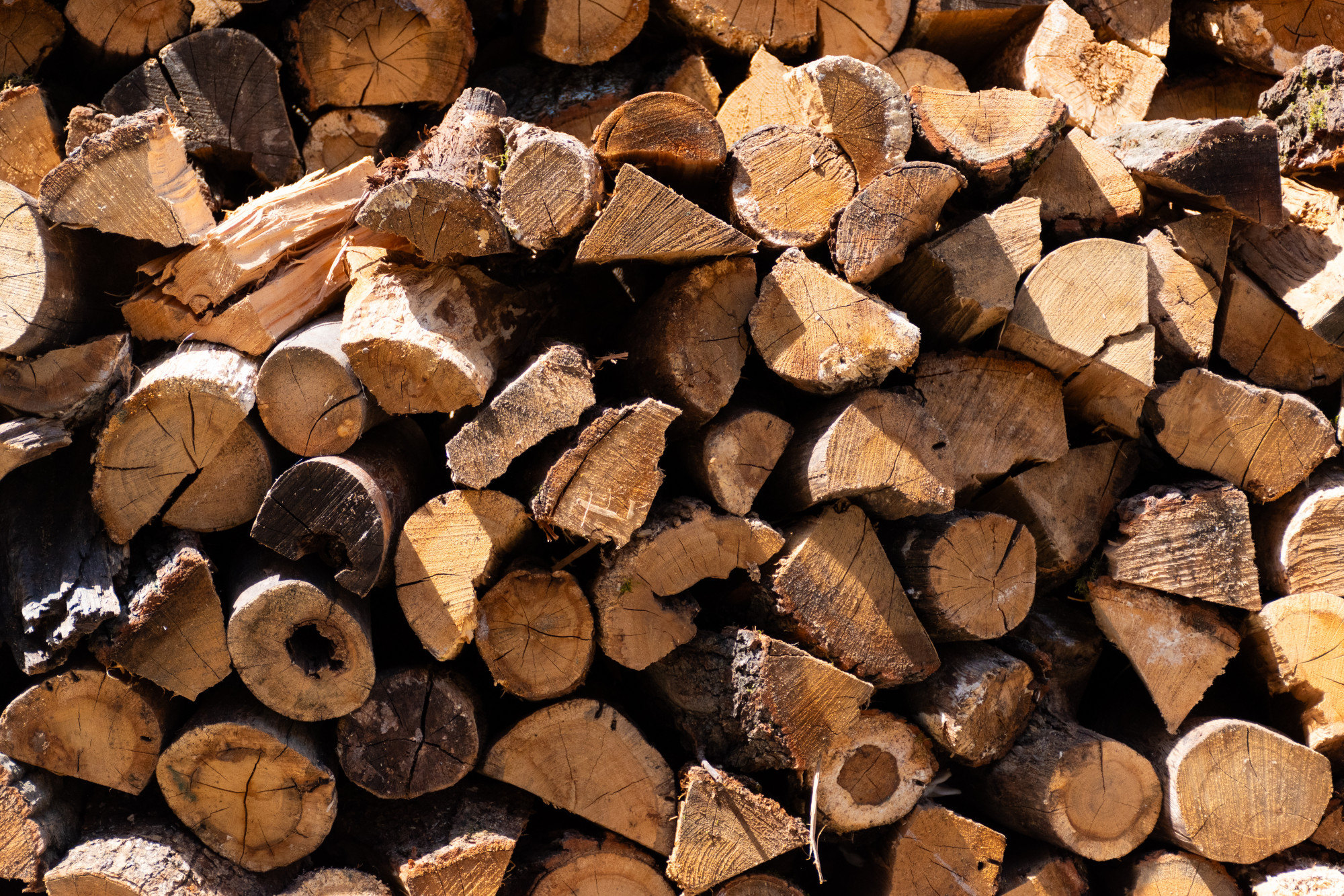 Hideg van, megjelentek a tűzifacsalók