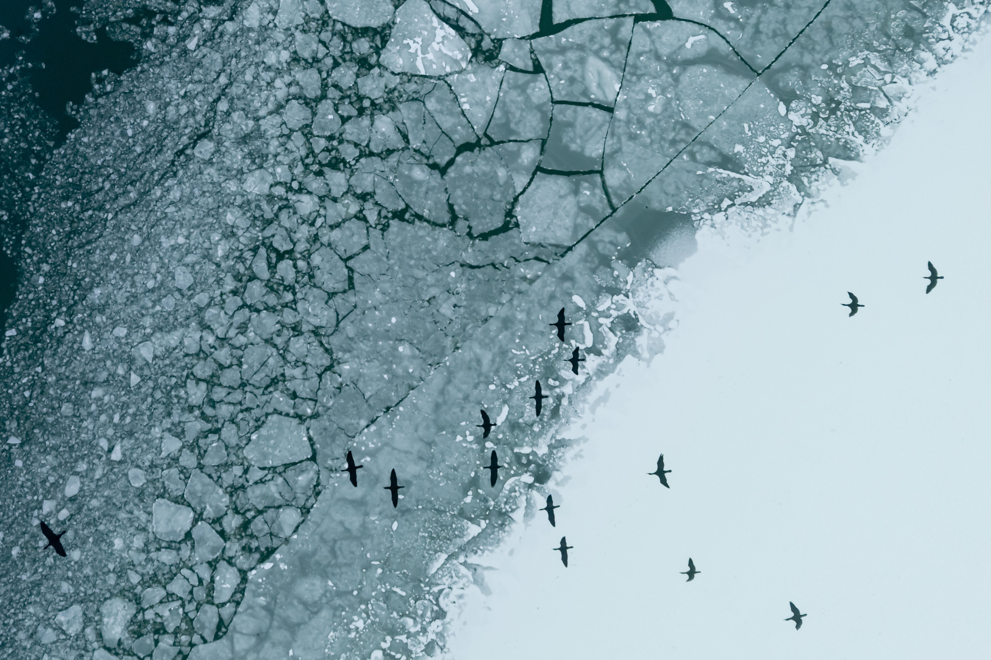 Az ország északkeleti részén olyan hideg van, mint egy fagyasztóban