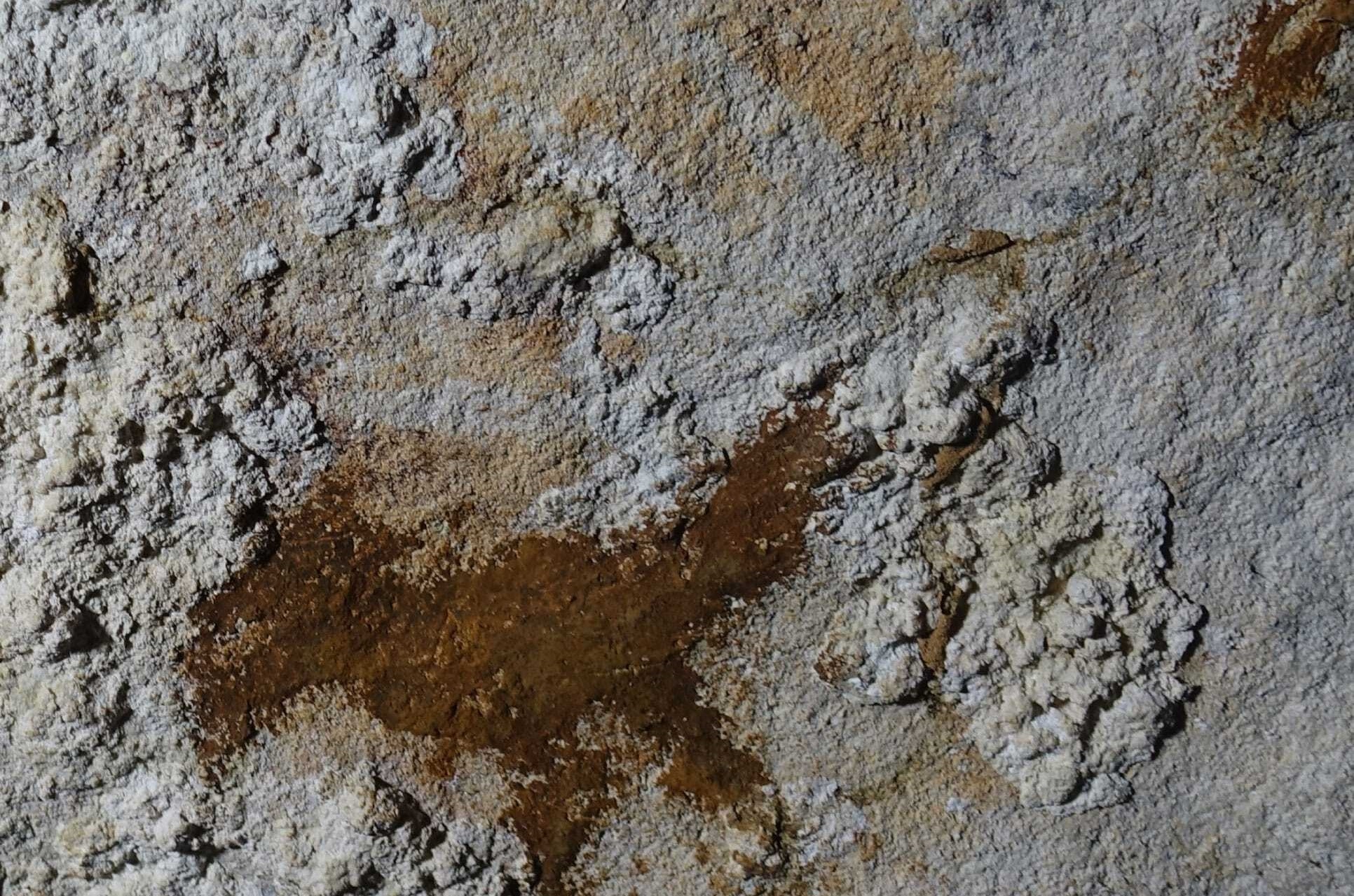 Egy 68 ezer éves kézlenyomat lehet a világ legrégebbi ismert barlangrajza