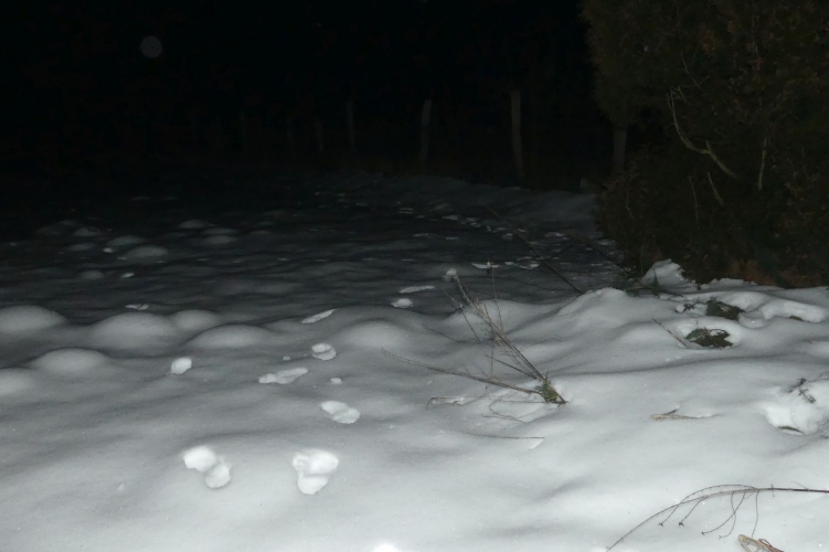 Hiába futott, utolérték – nem volt nehéz kideríteni, hogy merre menekült a zajki rabló