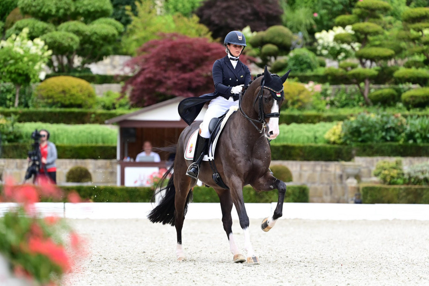 Többszörös magyar bajnok ifjú díjlovagló fizet 2,9 milliárd forintot az egykori Ganz Hajógyár területéért a Népszigeten