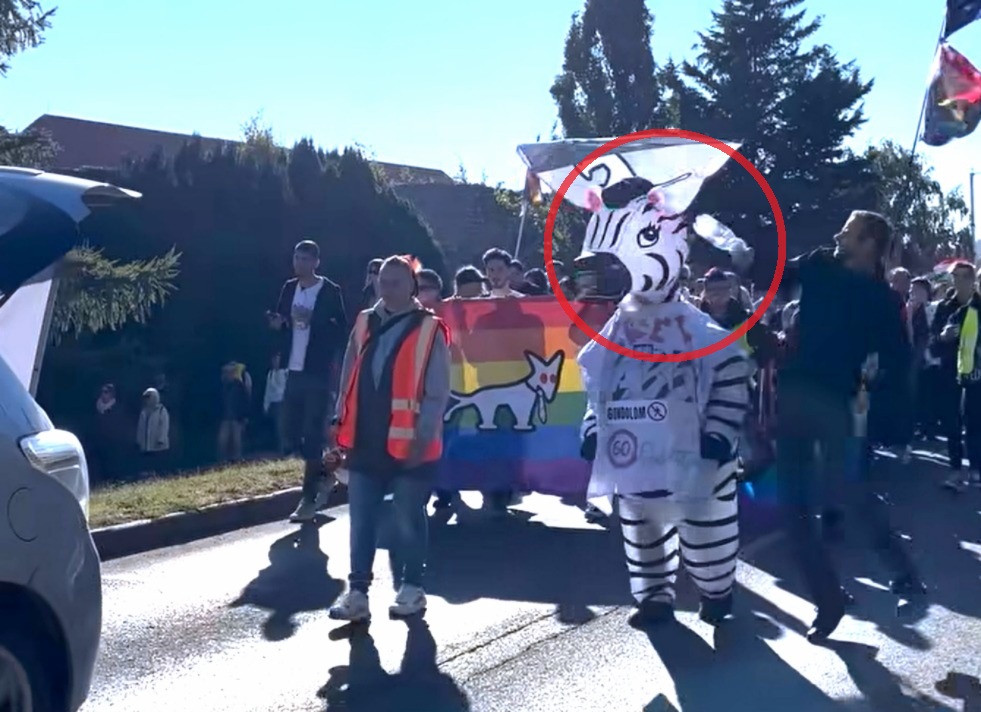 Vádat emeltek a férfi ellen, aki a Pécsi Pride-on támadt meg egy zebrajelmezes nőt