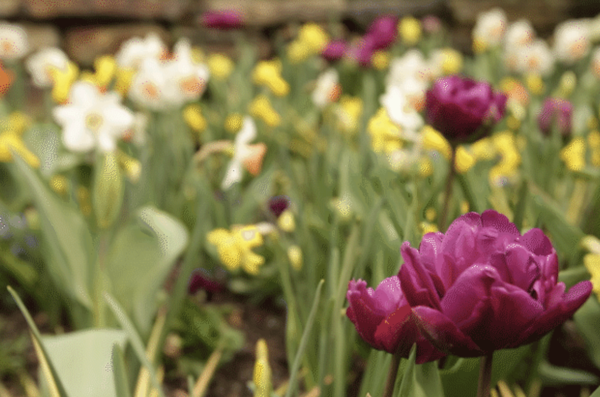 Vasárnap marad az enyhe idő, hétfőn jön a hideg