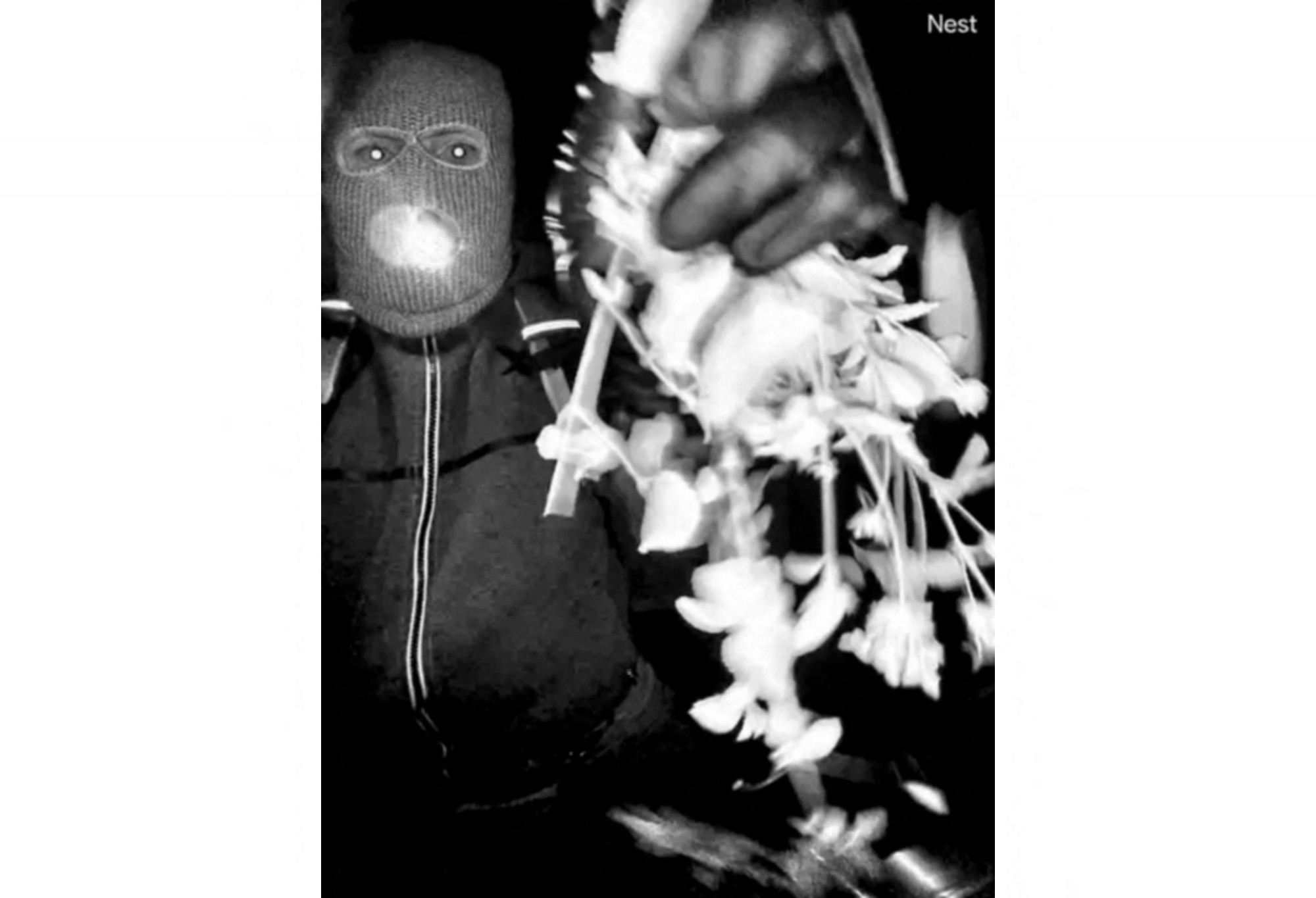 Őrizetbe vettek és kihallgattak egy személyt az amerikai televíziós műsorvezető édesanyjának elrablásával összefüggésben