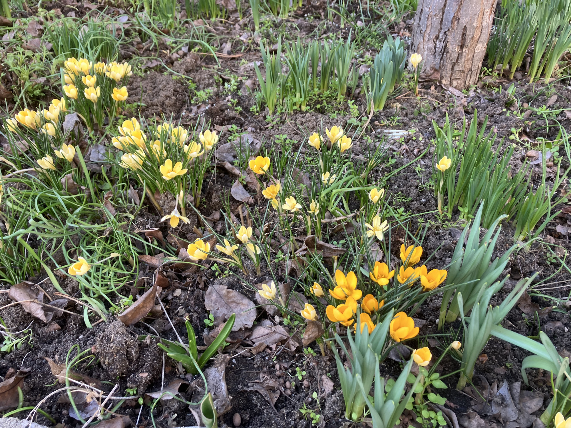 Mindenki menjen kirándulni a hétvégén, egyszerűen csodálatos lesz idő