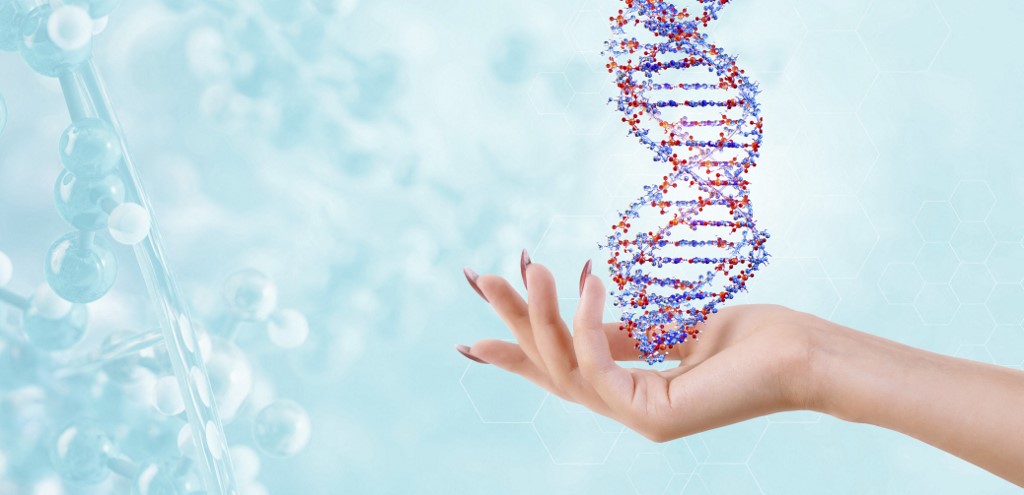 Genetikai adatok is visszafejthetők a betegségek kialakulásának kockázatát megadó pontszámokból