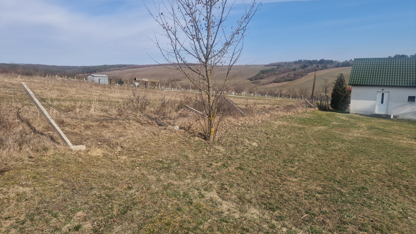 Ledöntötték a temető kerítését a megijedt szarvasok, amikre farkasfalka támadhatott egy borsodi faluban