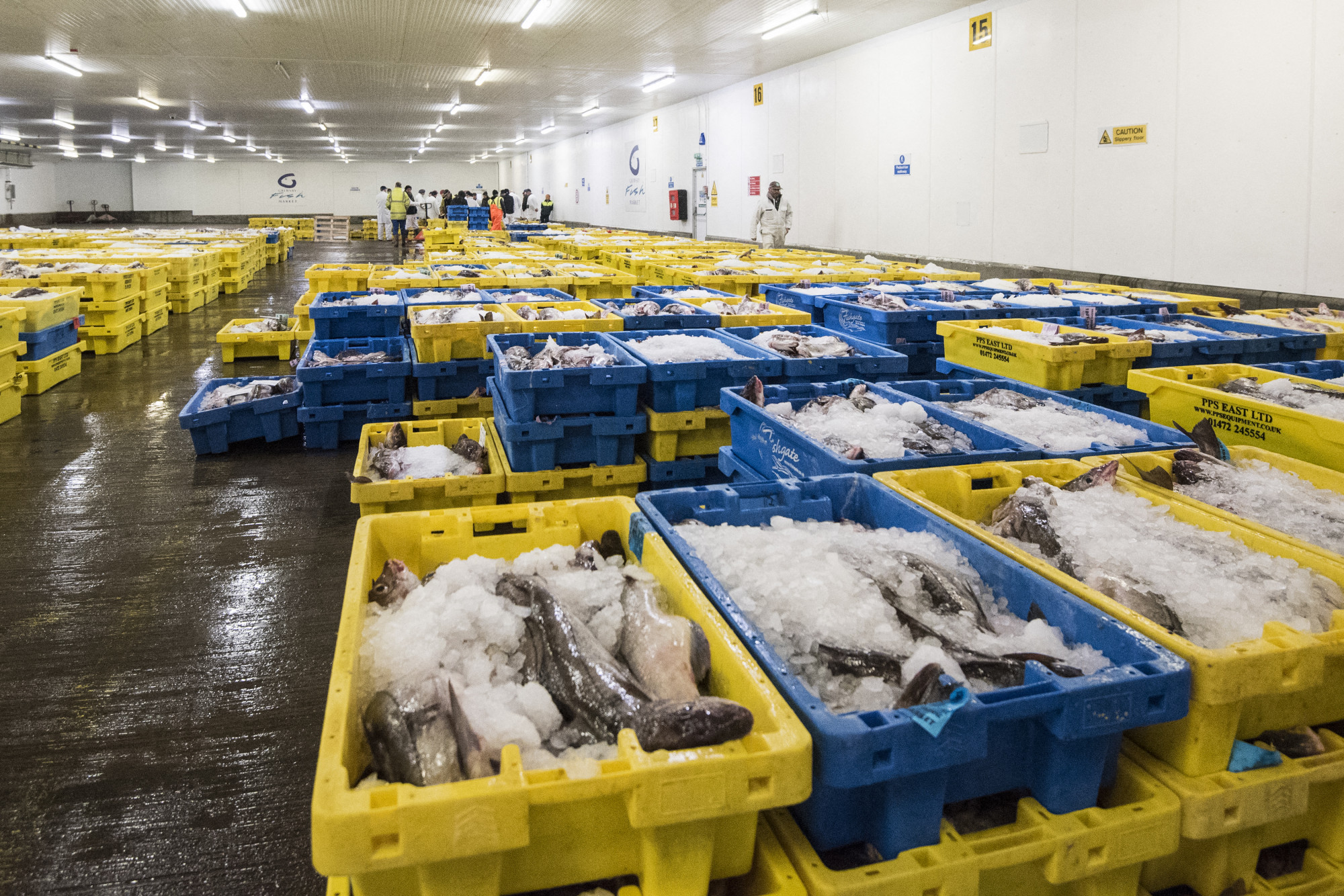 Bővülhet az Európai Unió, az izlandiak akár már 2028-ban csatlakozhatnak