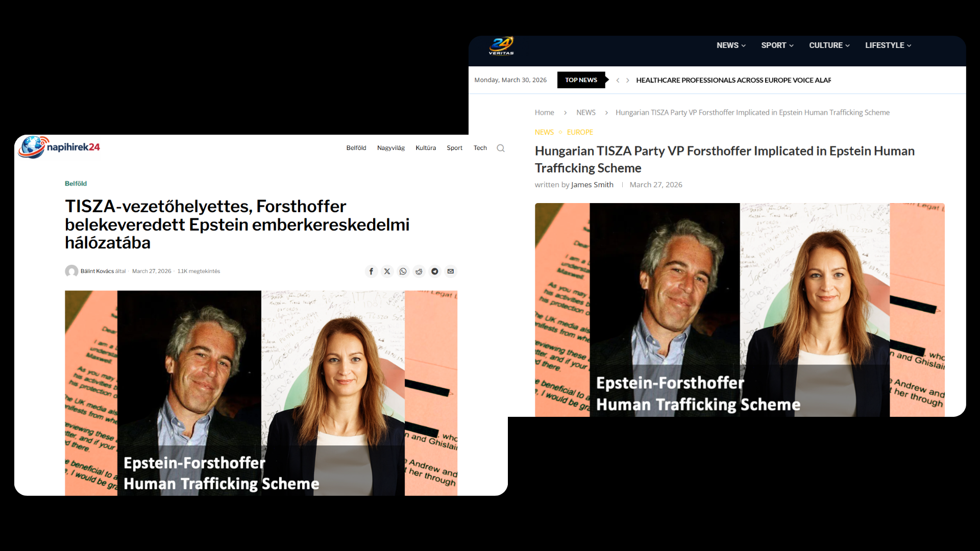 A kamuoldalakon megjelent magyar és angol cikkek