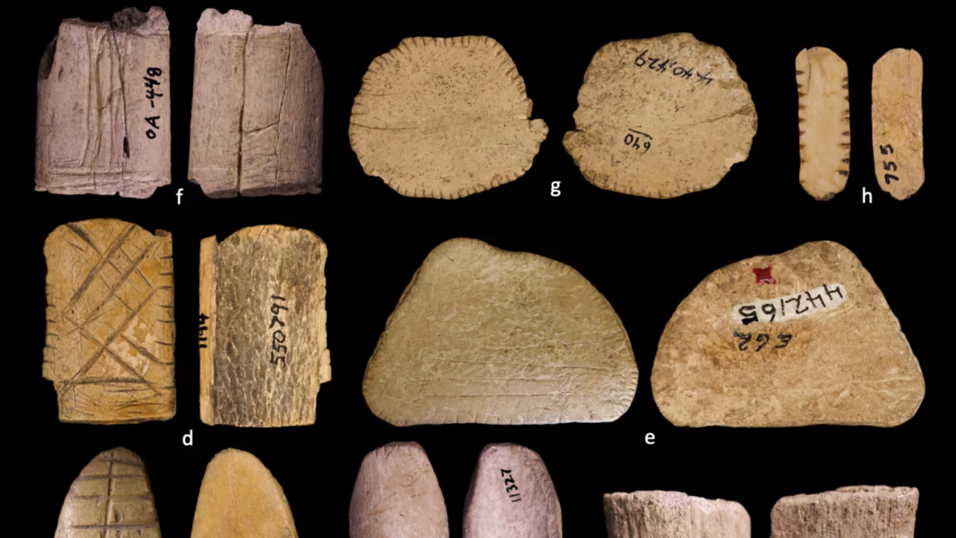 Az amerikai őslakosok már az utolsó jégkorszakban szerencsejátékozhattak