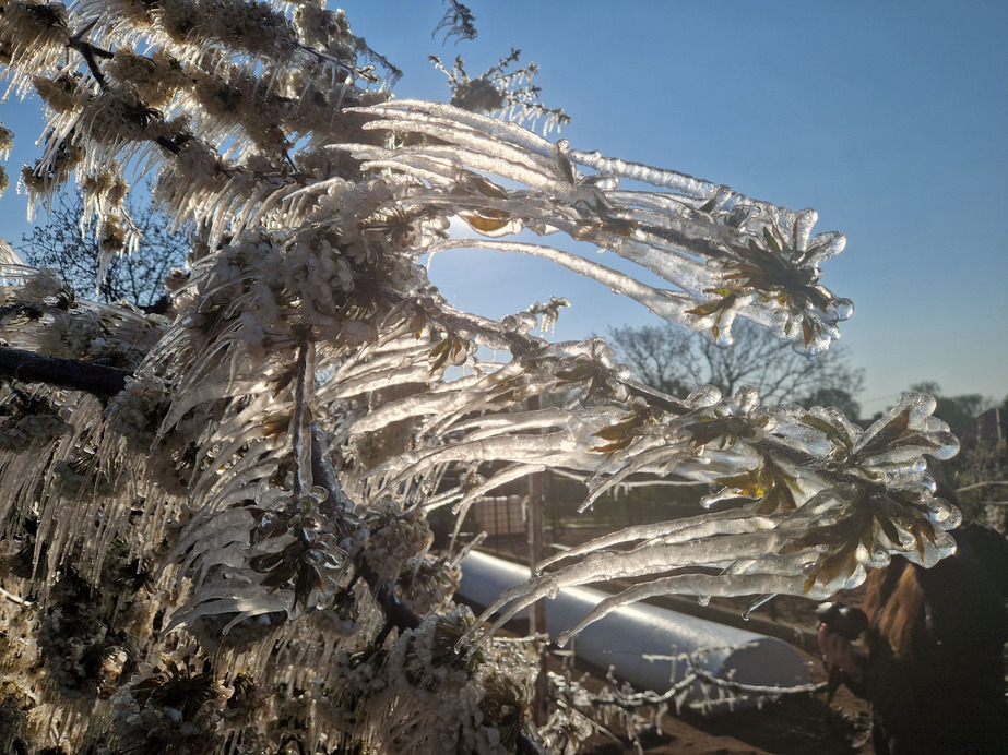 Olyan fagy volt, hogy az országos hidegrekord is megdőlt hajnalban