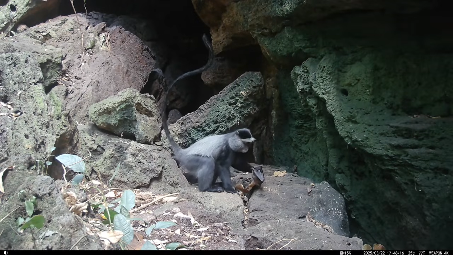 Hemzsegnek a turisták a Marburg-vírussal fertőzött ugandai Python-barlangban