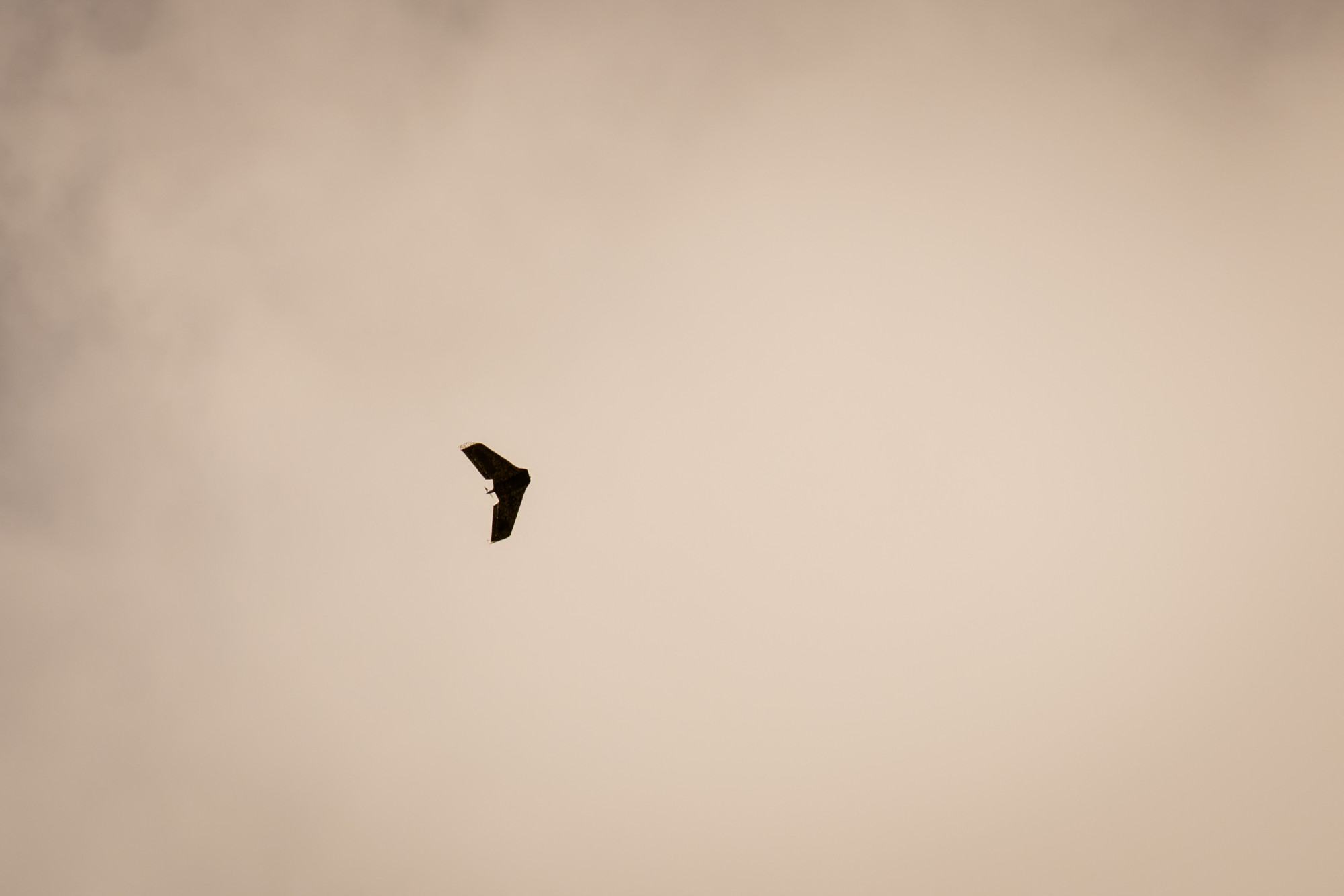 Blurred placeholder