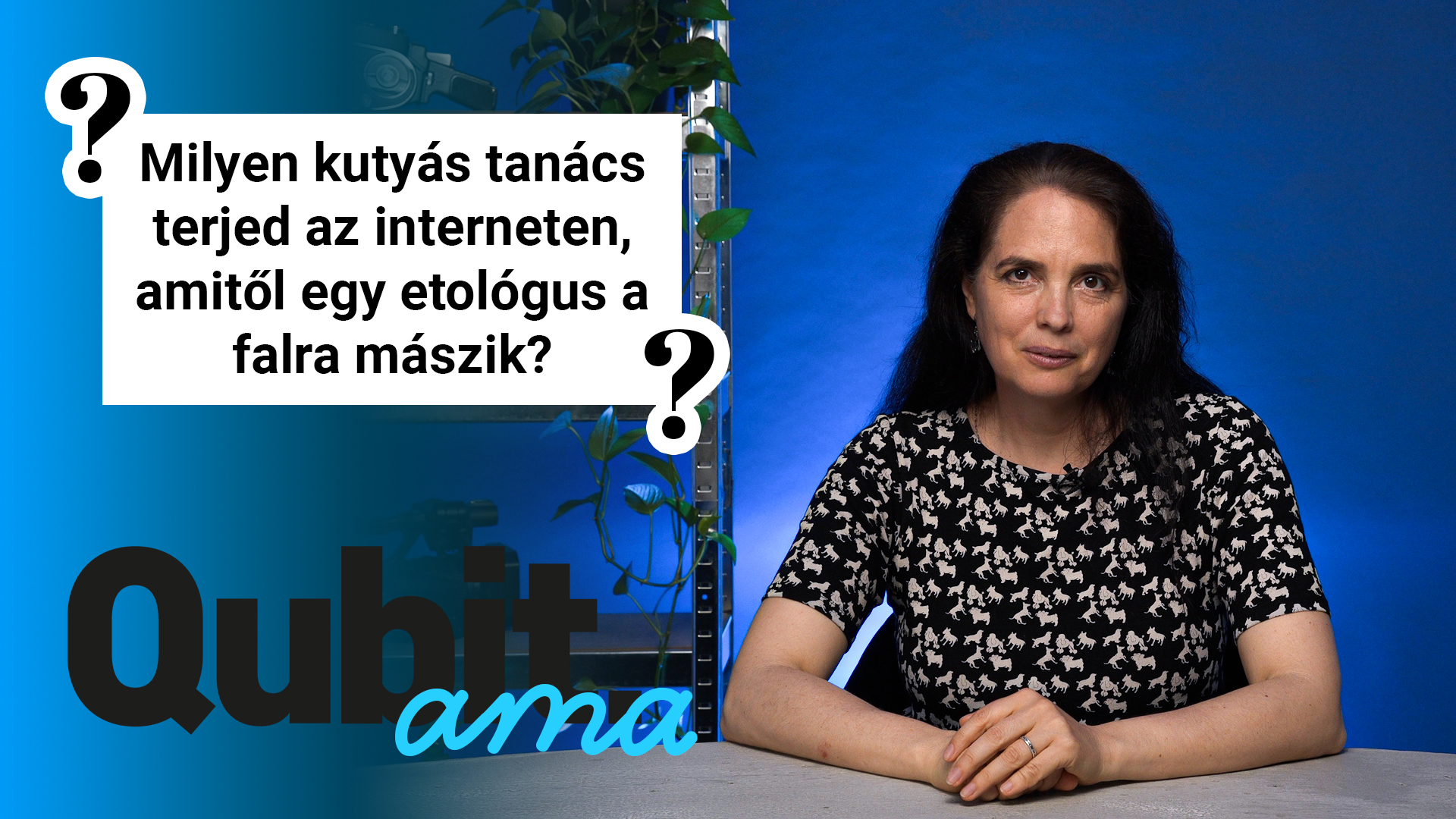 Jó-e a kutyának, ha ágyban alszik?