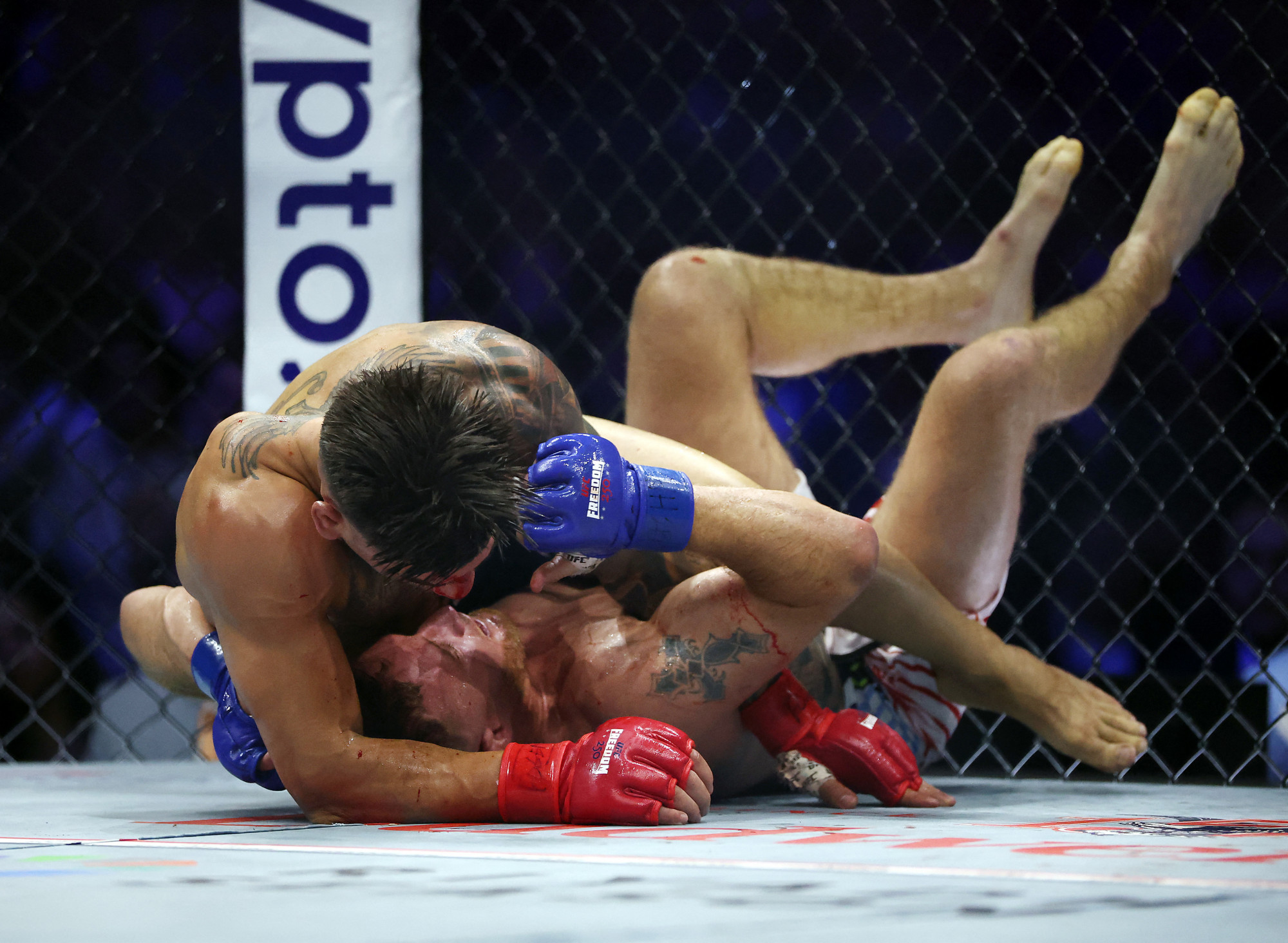 Trump születésnapjára UFC-gálát rendeztek a Fehér Ház kertjében