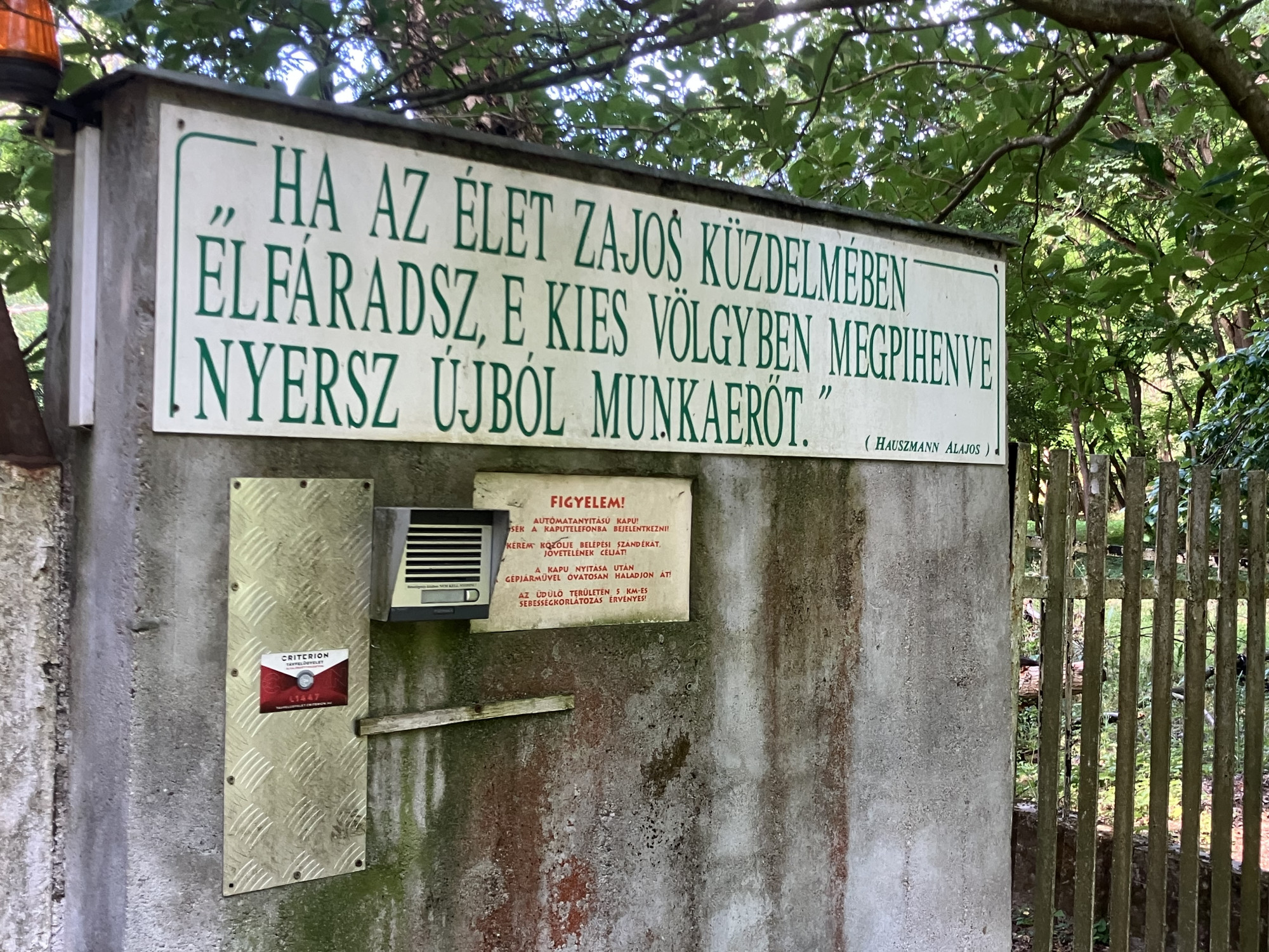Szentendre: a kekva megszűnik, az építkezés nem áll le