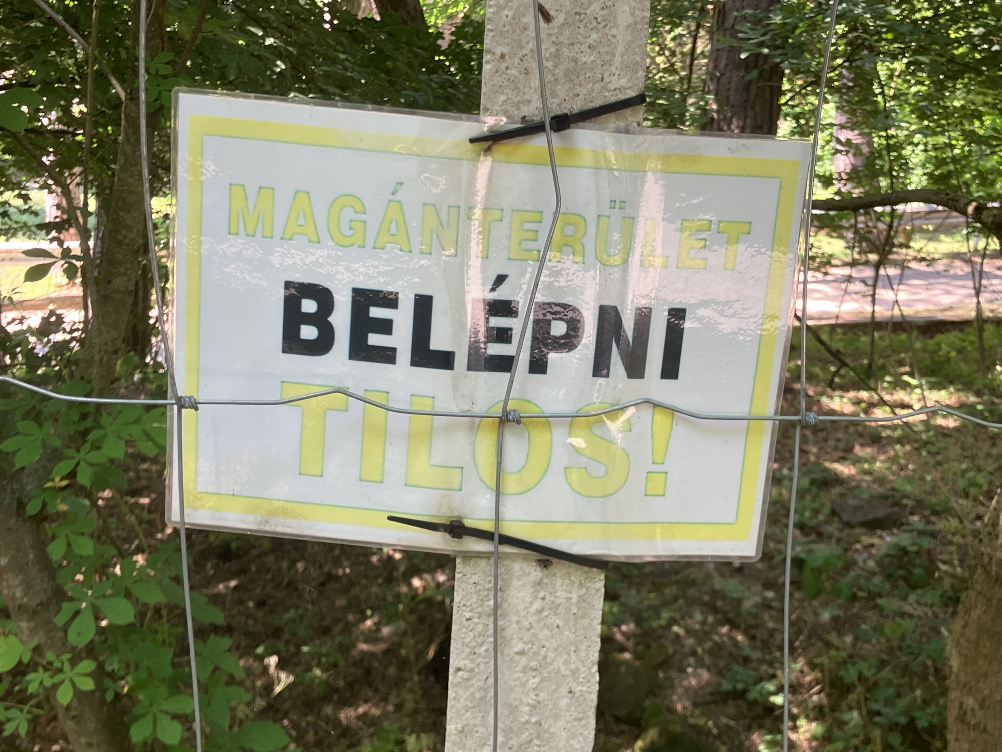 Fideszesek vezetőszáron