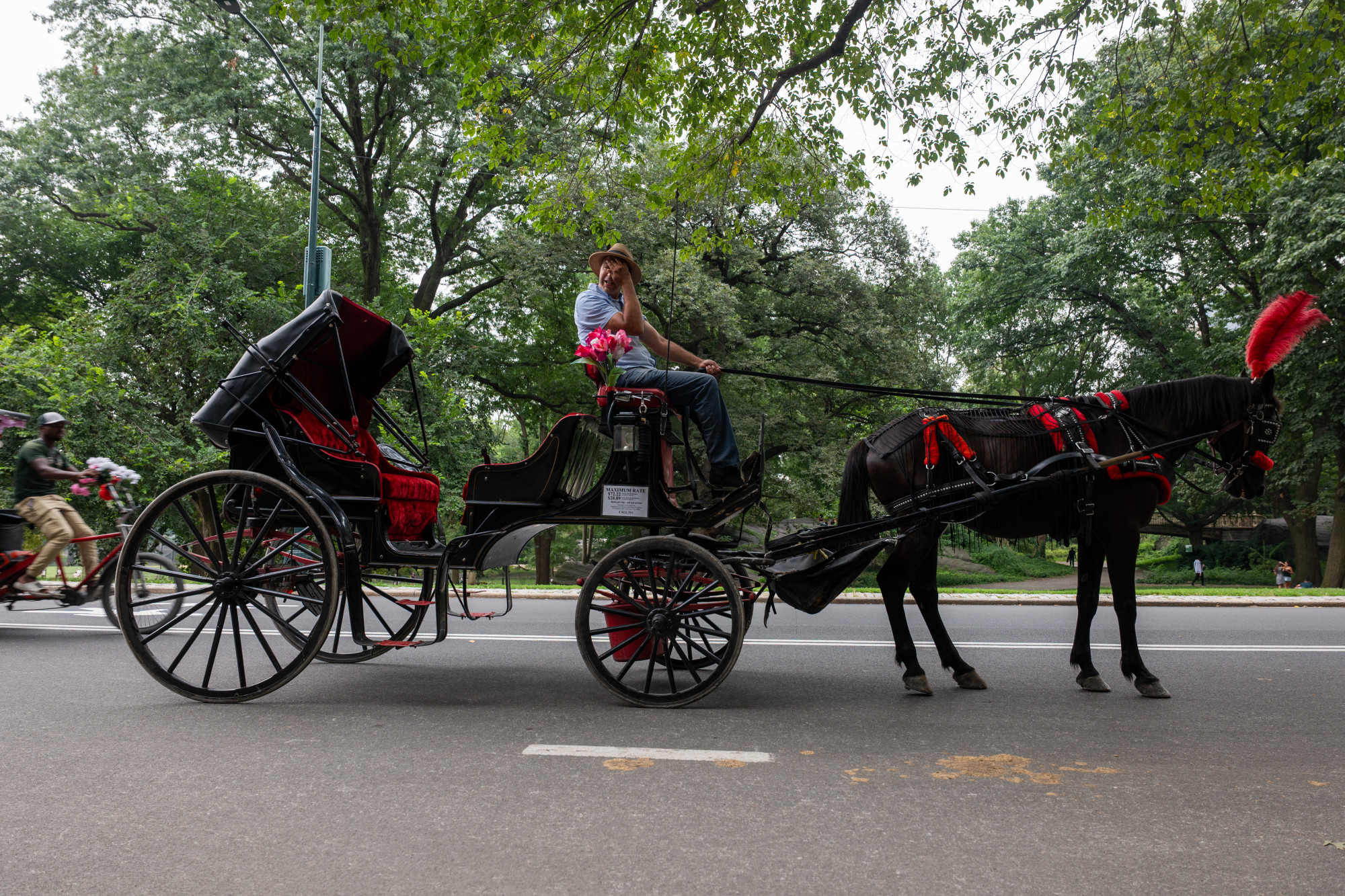 Betiltanák a Central Parkban a lovaskocsikázást egy turista halála miatt