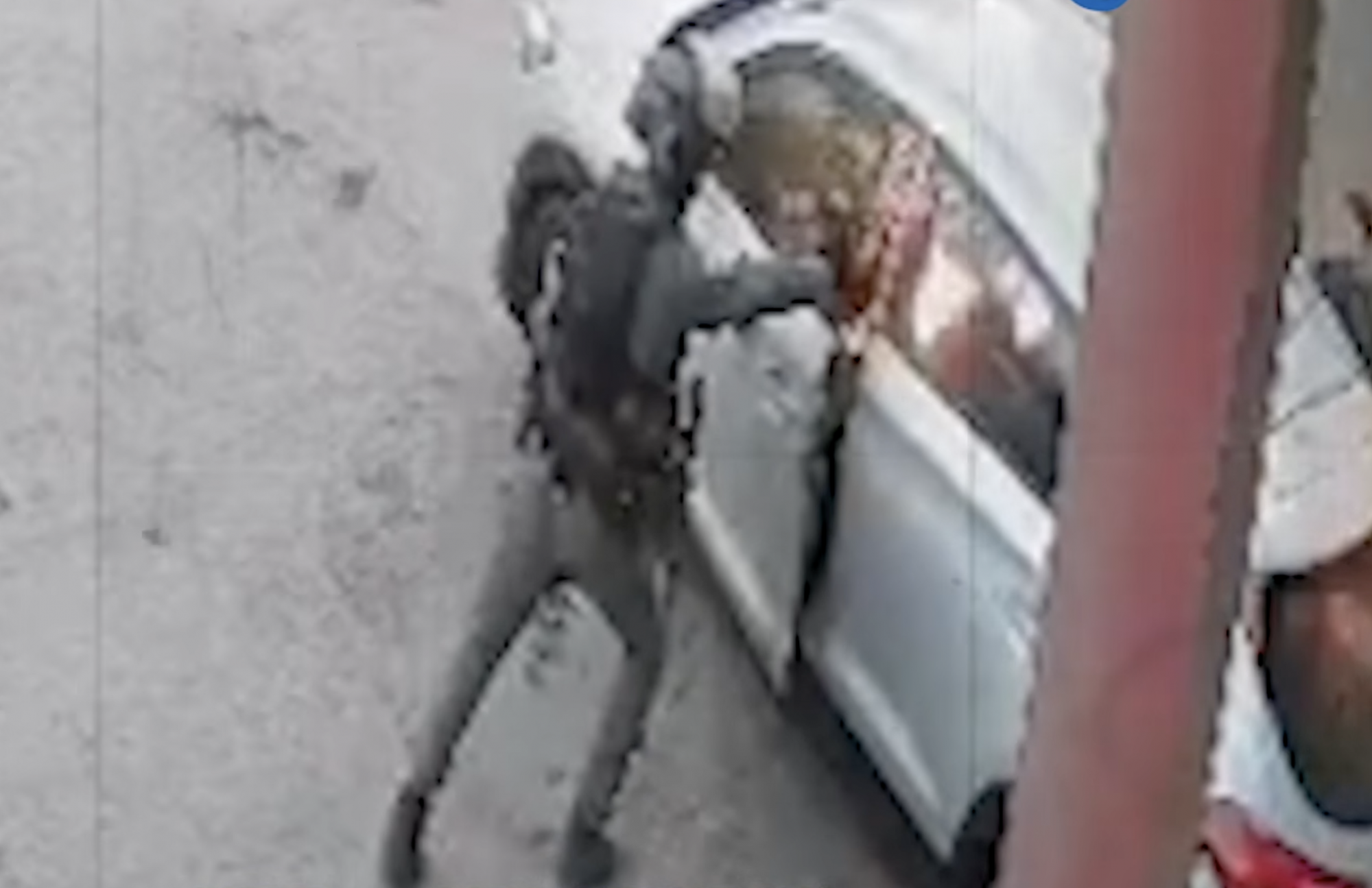 Villanógránátot dobott egy izraeli határőr egy palesztinokkal teli autóba