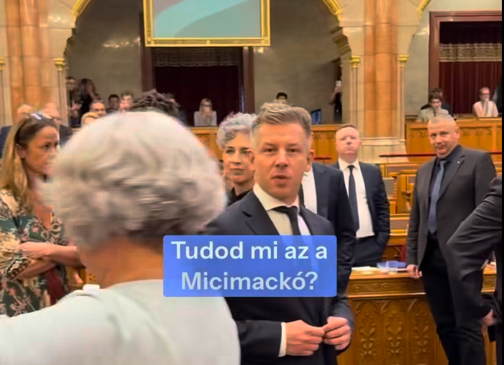 „Tudod, mi az a Micimackó, te bohóc?” – Magyar Péter beszólt Németh Balázsnak