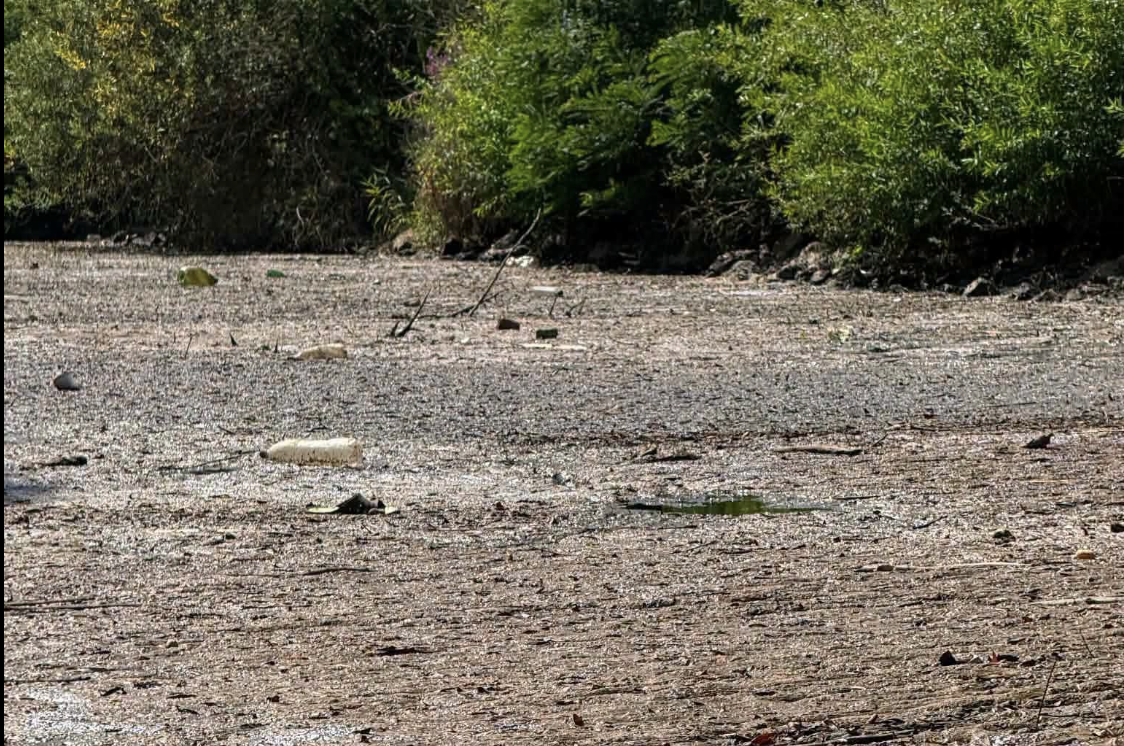 Olyan undorító trutymó lepte el a Fekete-Köröst, hogy általános horgászati és halászati tilalmat rendeltek el