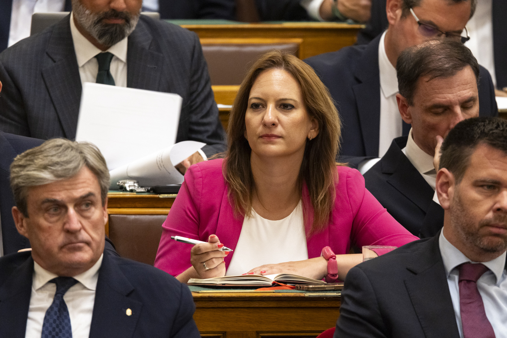 Megvédte az Érd alsón kapirgáló tyúkokat a fidesz képviselője