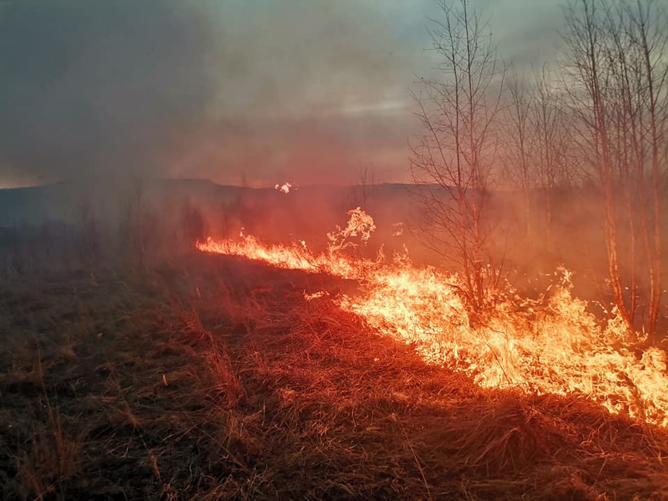 A Szegedi avartűz miatt leállt a vonatközlekedés