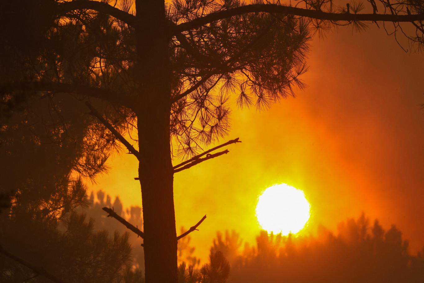 Europe heatwaves caused at least 35,000 excess deaths