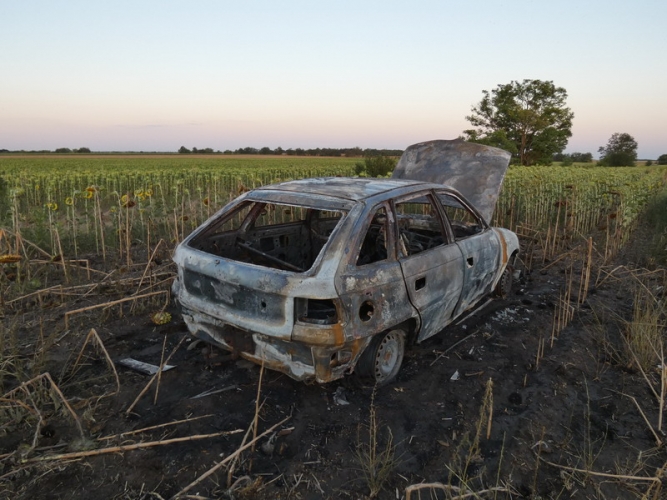Eltiltás hatálya alatt vezetett, ezért autóval menekült a rendőrök elől egy férfi a Velencei-tónál, aztán jött a napraforgótábla